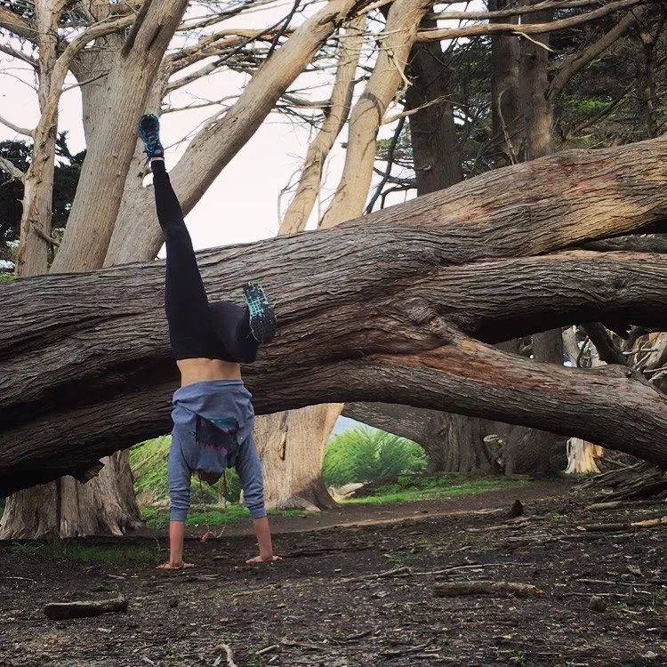 January 2016 - handstand practice in Santa Cruz