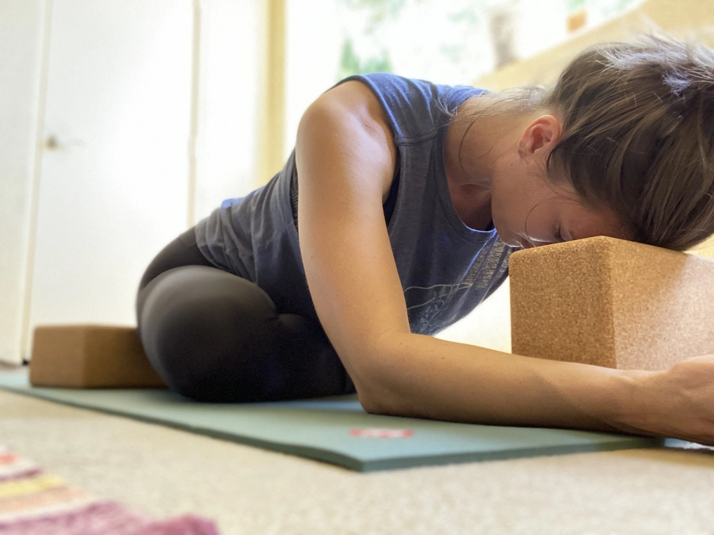 May 2020 - sleeping pigeon with blocks