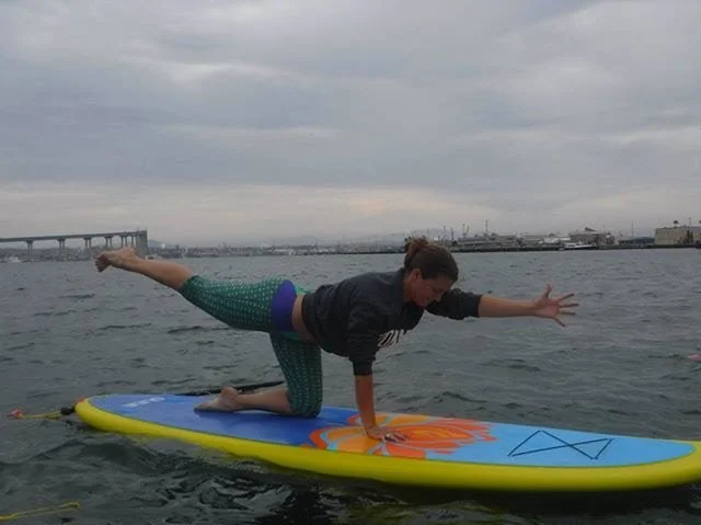 June 2015 - balancing cat during SUP yoga at the yoga journal conference in San Diego