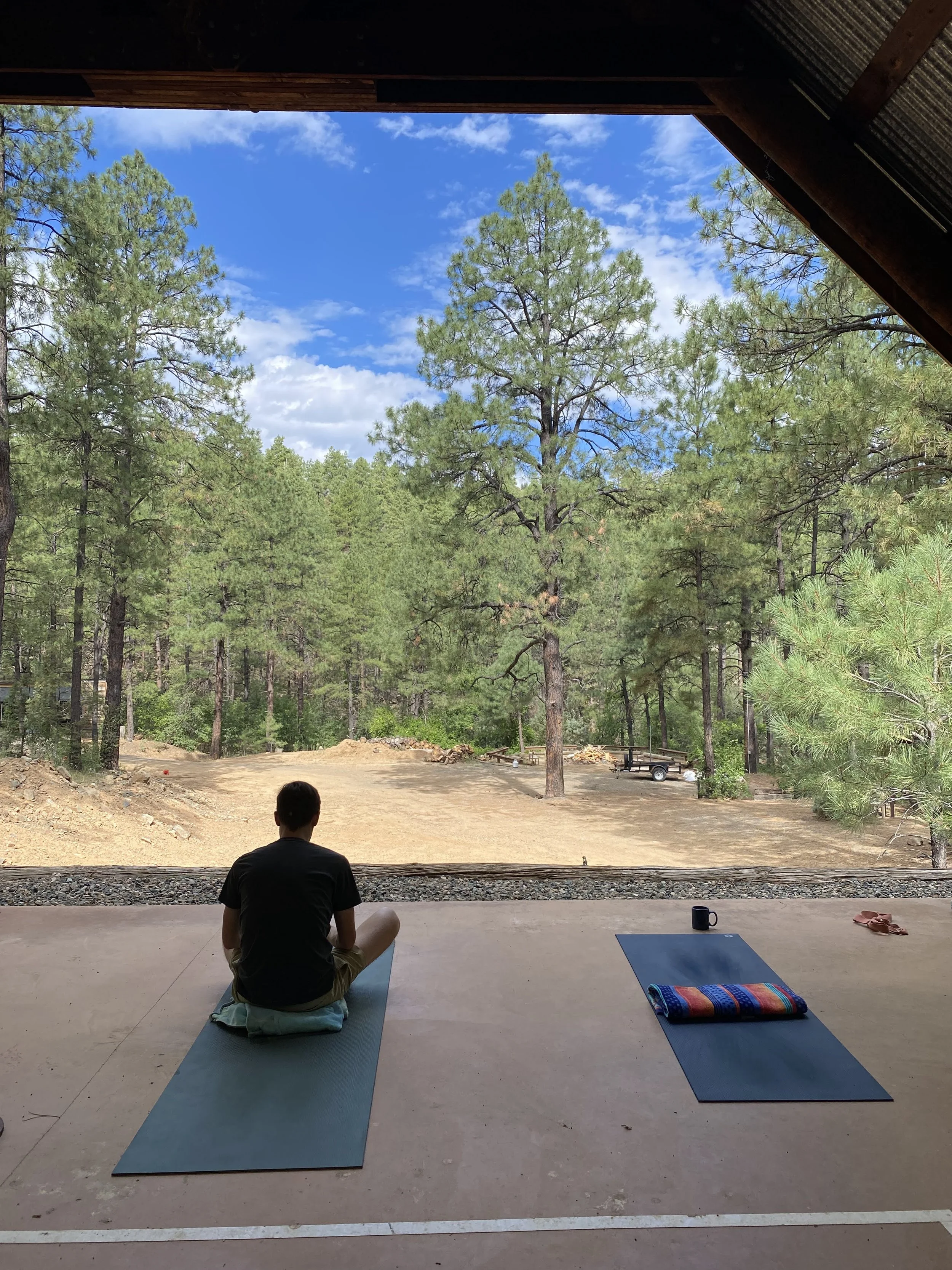 a private yoga session set in the middle of the forest
