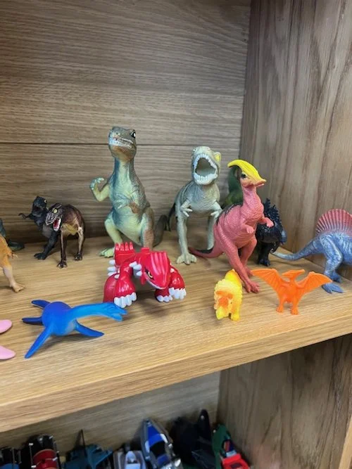 A collection of toy dinosaur figurines displayed on a wooden shelf, including various types and colors.