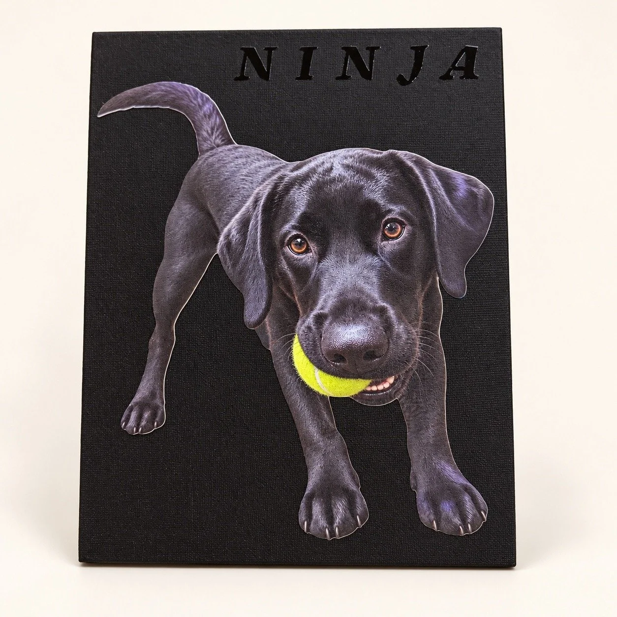 Ninja personalized printed pet portrait by TBDCREATE
