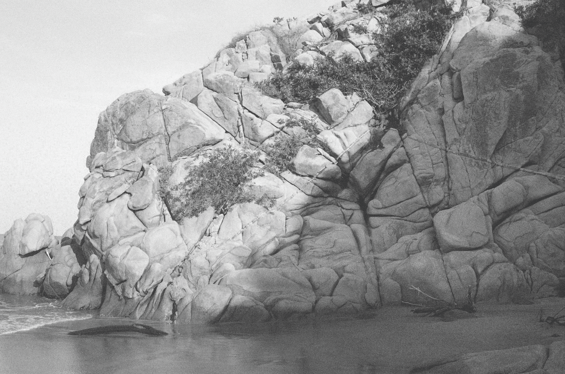 Black and white photo of large rocks and boulders on a shoreline with some small trees or bushes growing among them.
