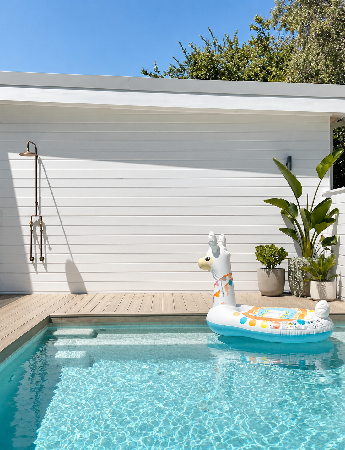 A backyard pool area with a white wall, potted plants, and an inflatable swan pool float.