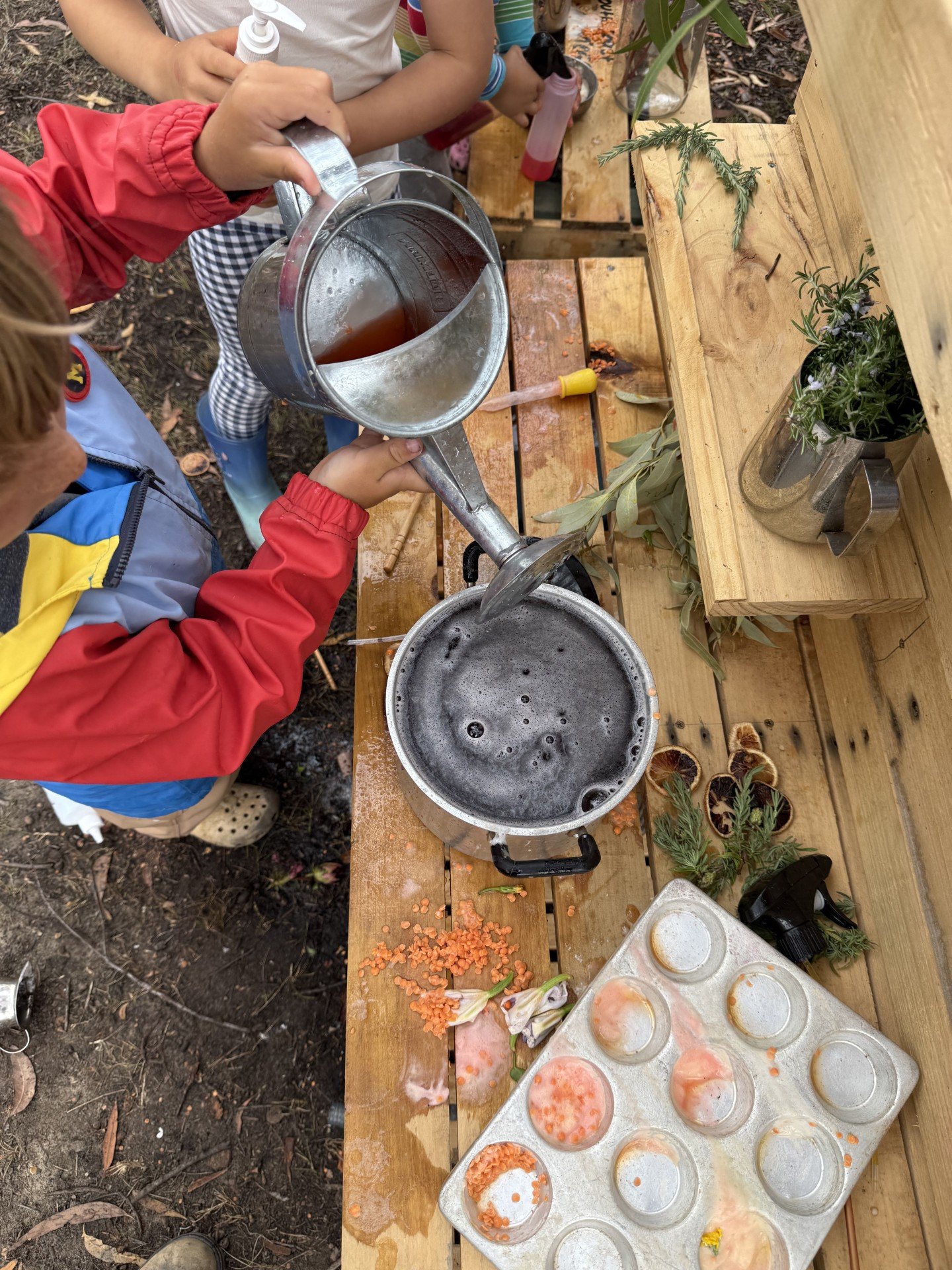 a84335ee-21a5-45f4-bdbd-79cc43041f3f.jfif (Copy)