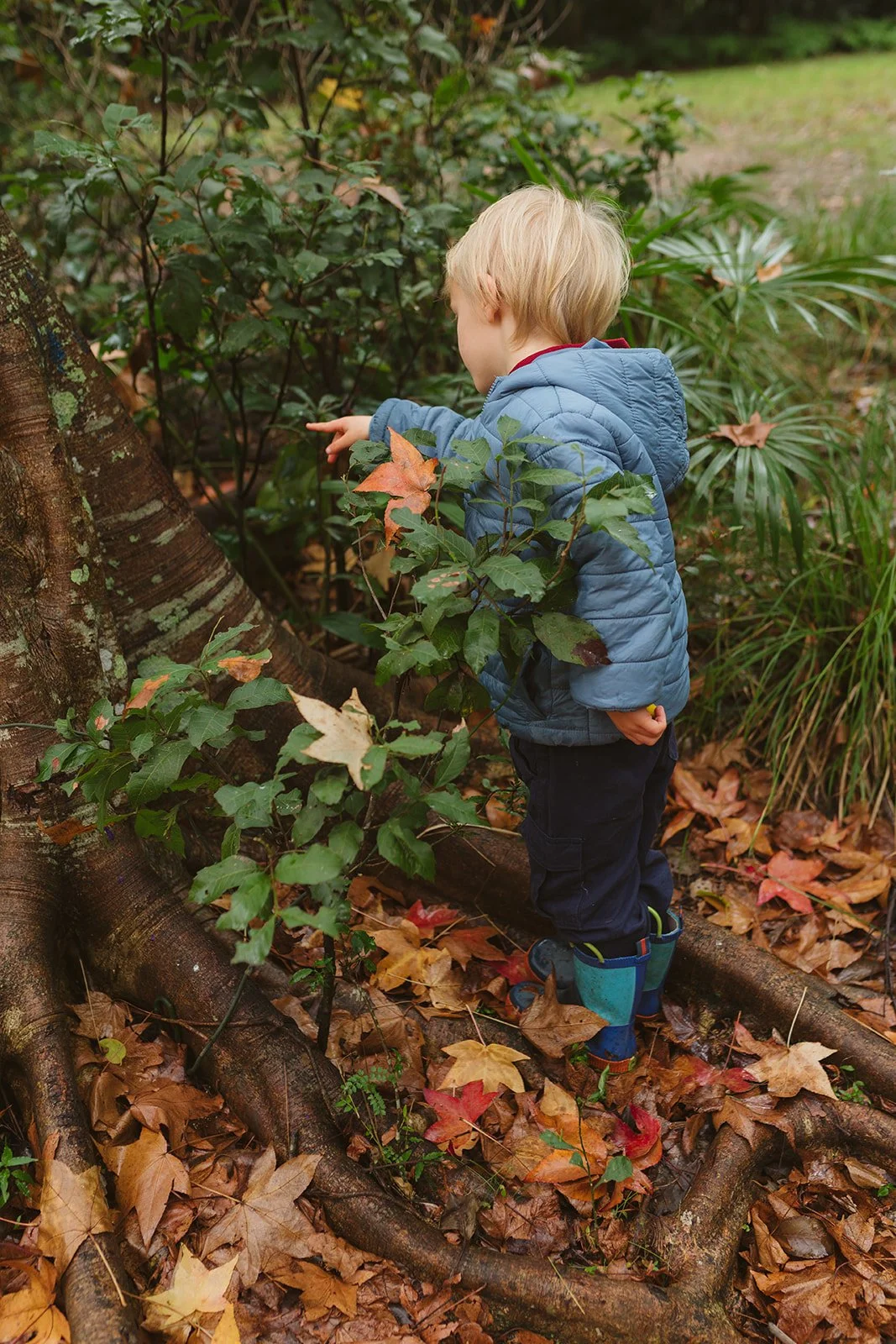 Kooee Kids 2026-73.jpg