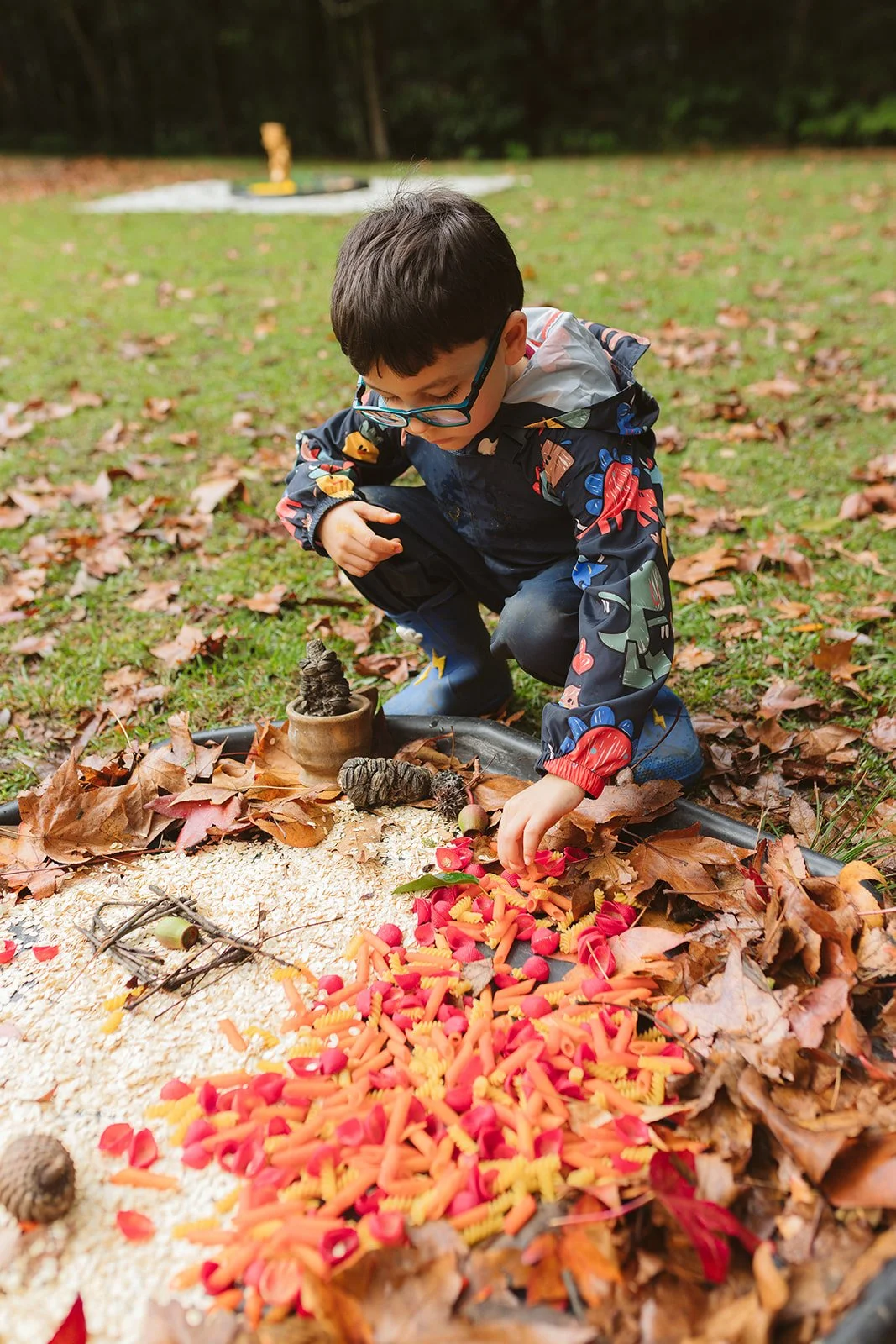 Kooee Kids 2026-21.jpg
