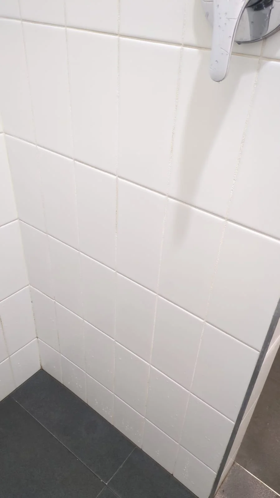 WhatsApp Image 2025-11-13 at 17.33.37_94ad1125.jpg