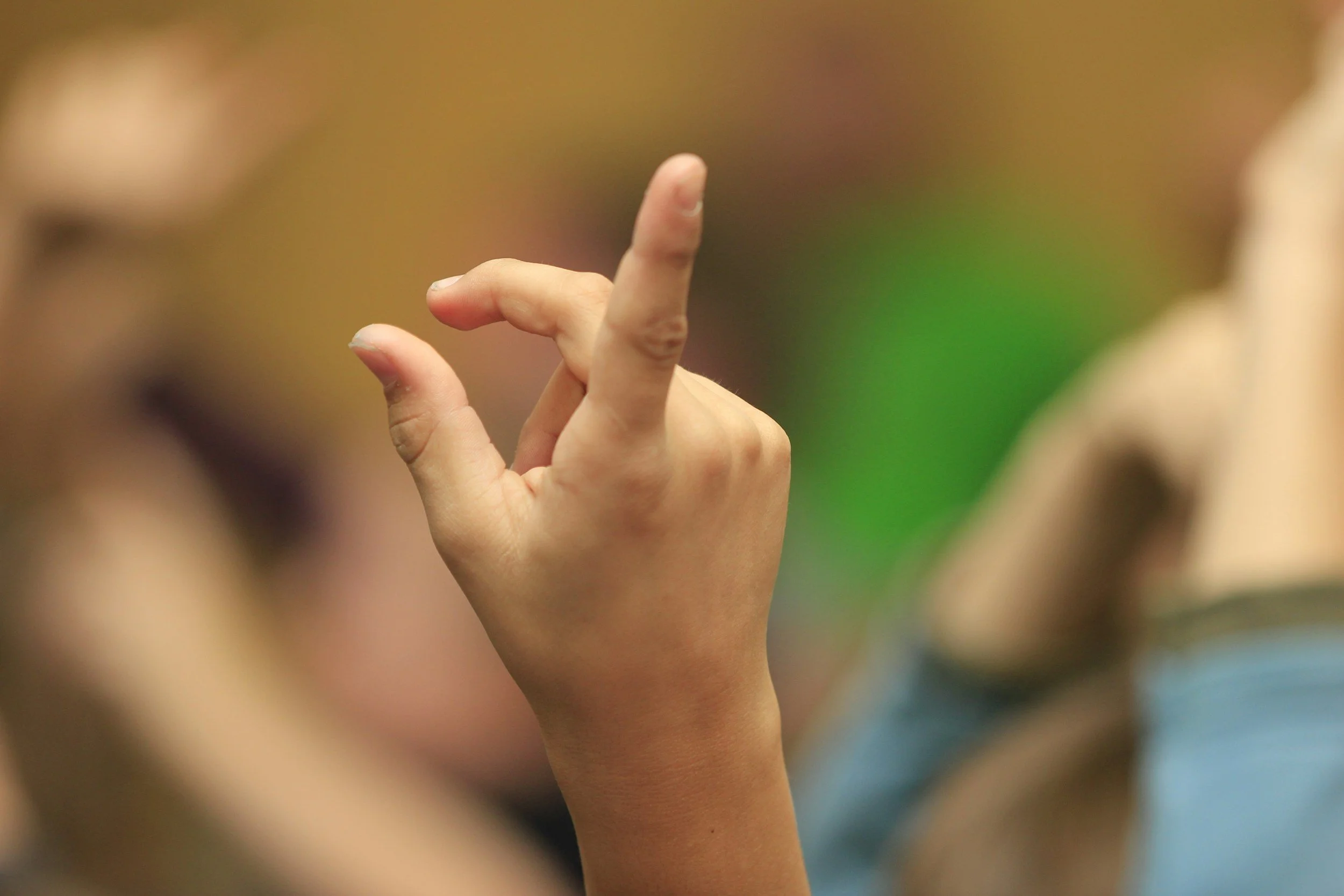 Key Word Sign and Bilingualism: It’s Not Just for English