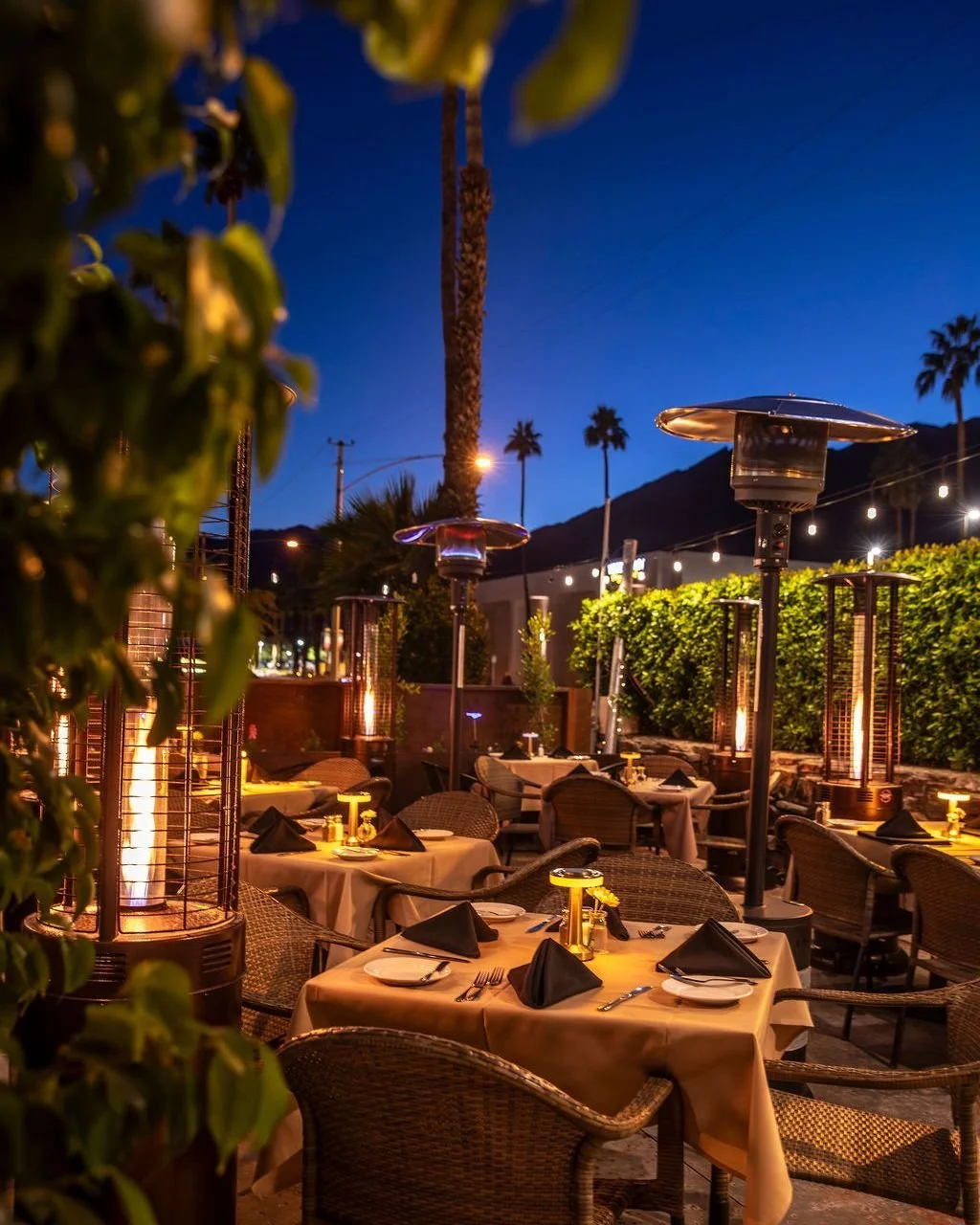 Hidden gem unlocked in downtown Palm Springs. 🌙 Discover something new every visit.

#desertmoon #palmsprings #dinner #dining #newrestaurant #hiddengem #downtown #californiafusion #palmspringsrestaurants #desertlife