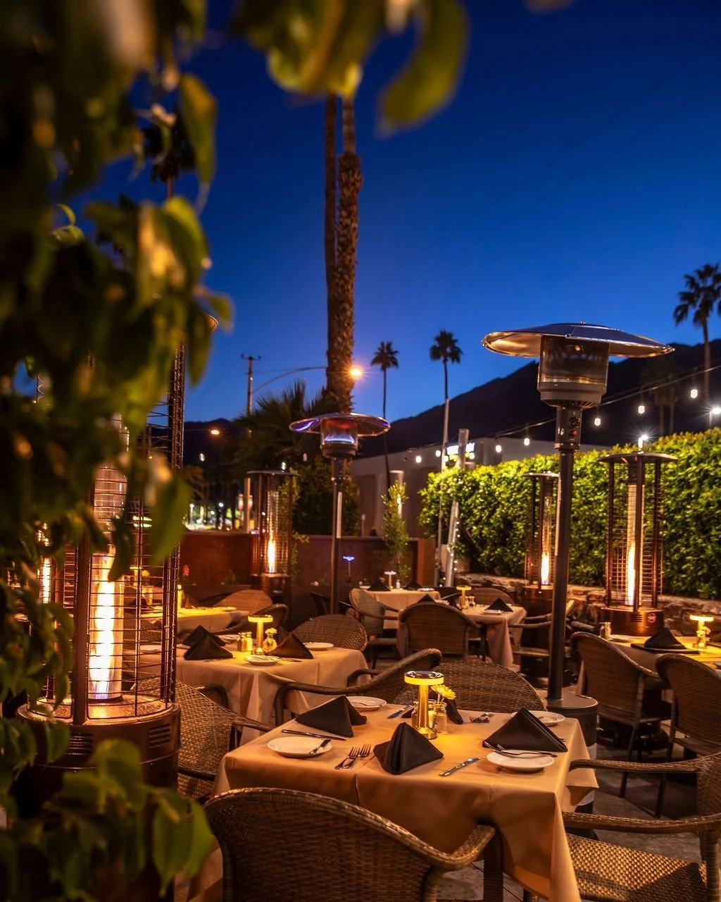 Desert dining at its finest under the blue lit sky. Dine with us al fresco in Palm Springs! 

#palmsprings #dinegps #desertmoonps #restaurant #americancuisine