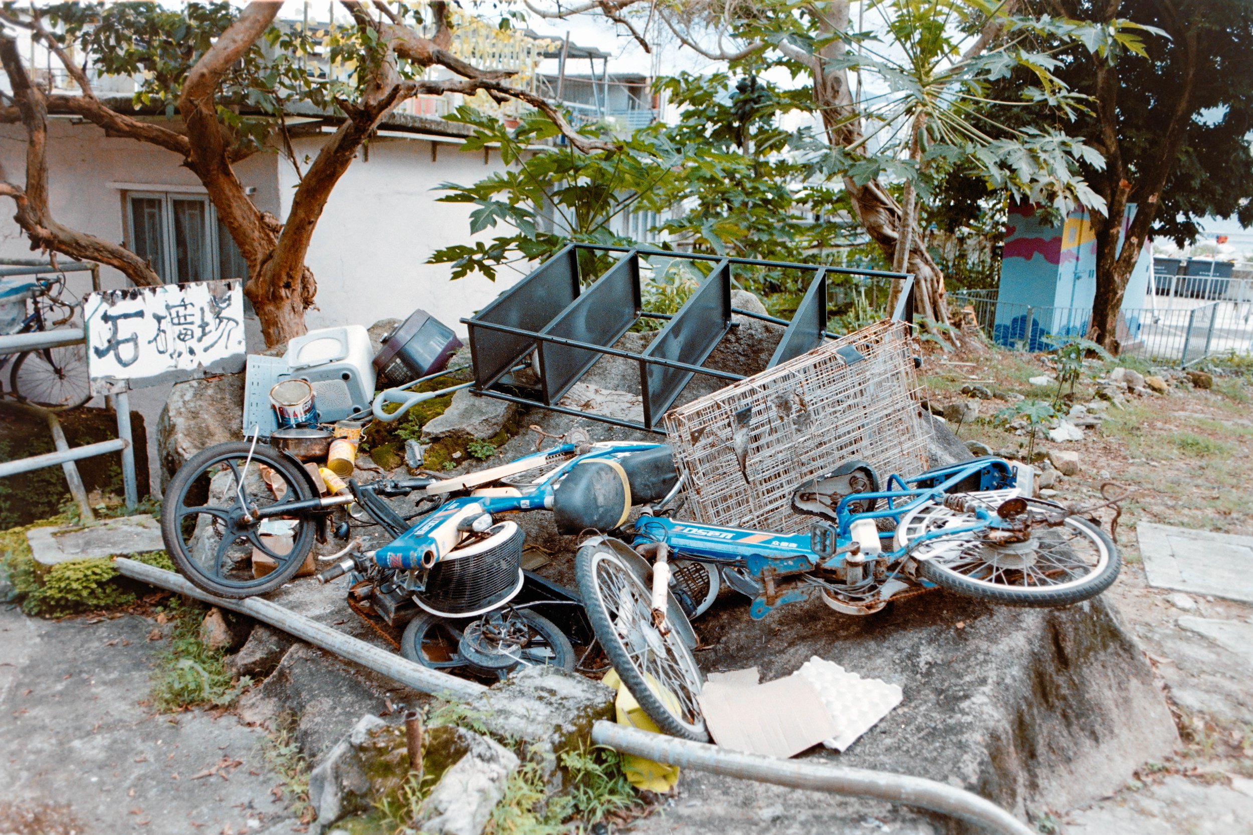 25-7-2024 sunset 1-29.jpg