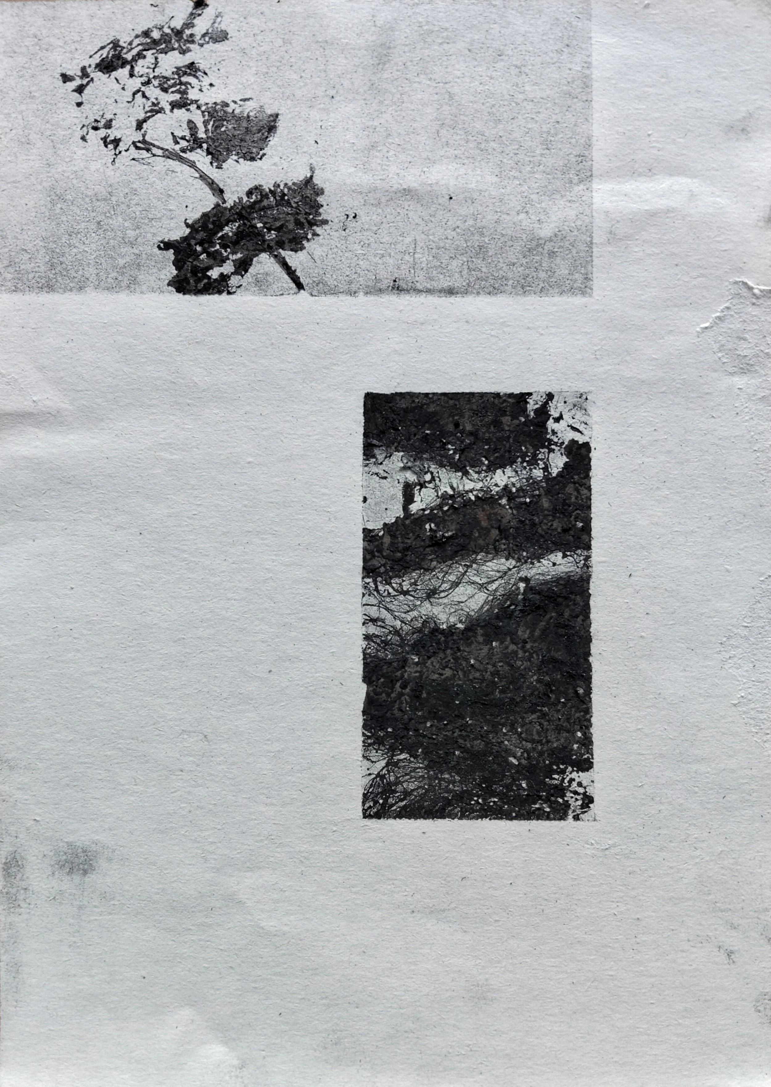 Untitled. Charcoal and spray glue on paper, 19x14cm