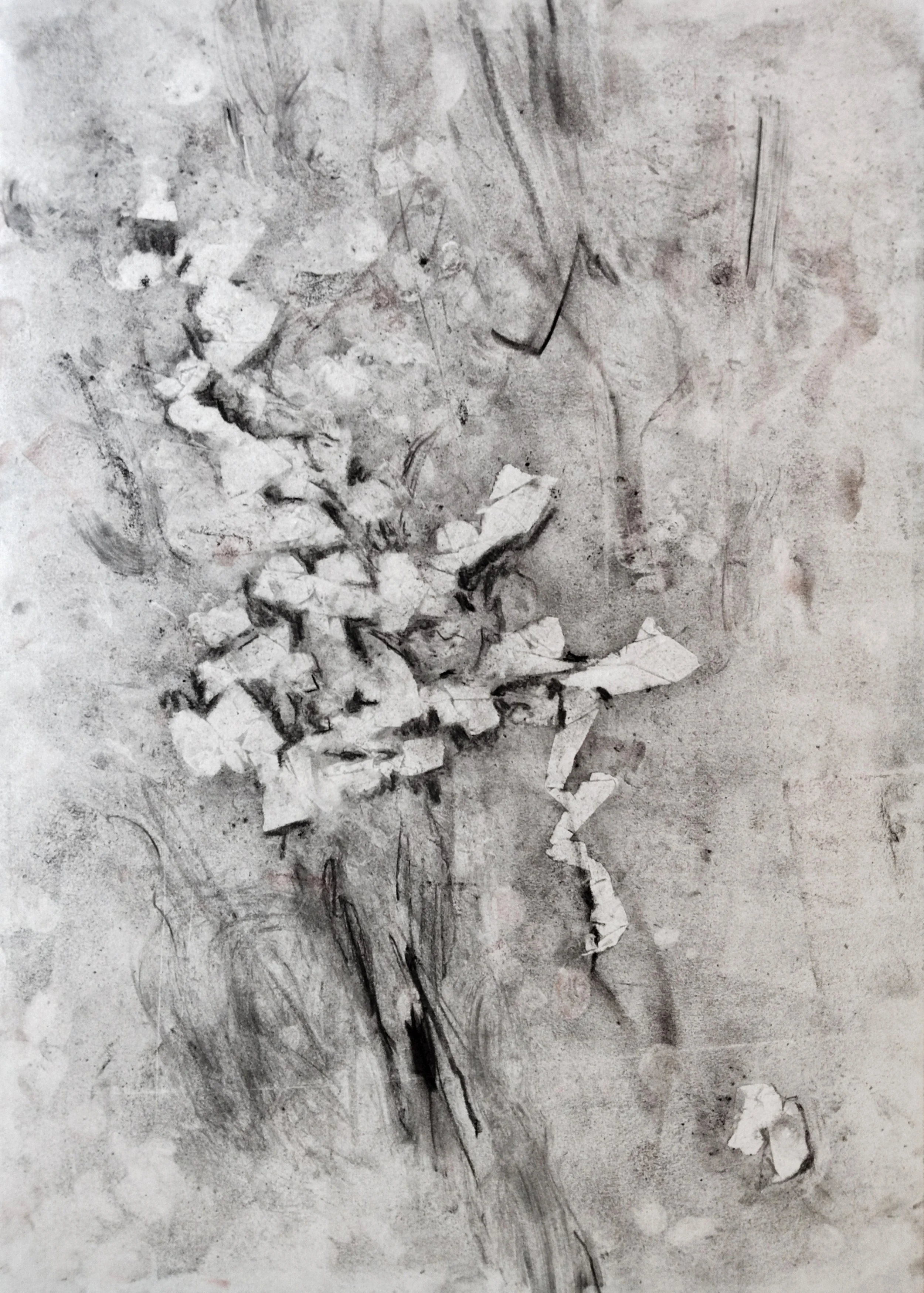 Untitled. Charcoal on paper, 30x42cm