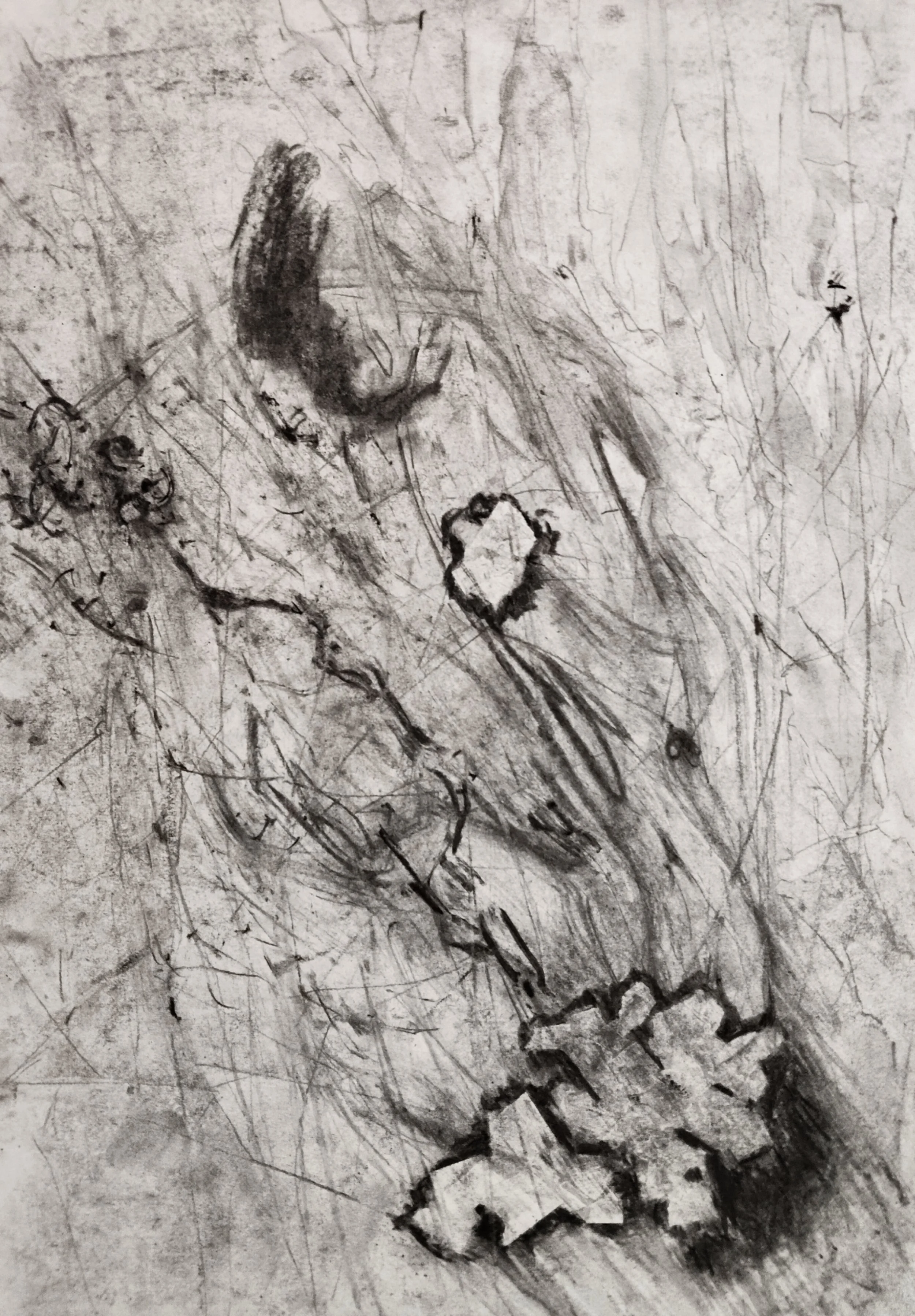 Untitled. Charcoal on paper, 30x42cm