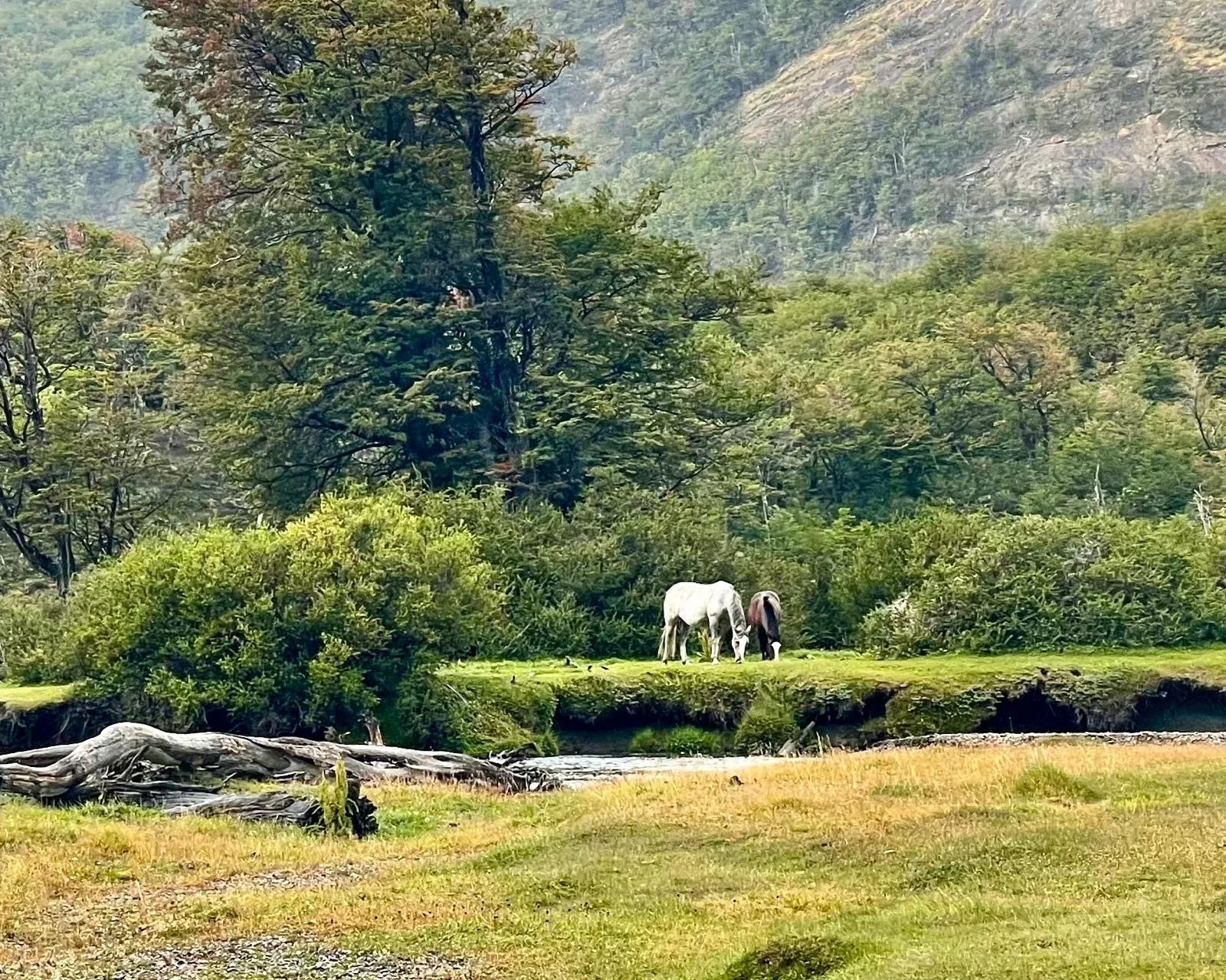 Ushuaia, Argentina