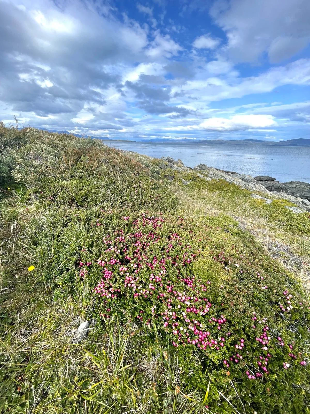 Ushuaia, Argentina