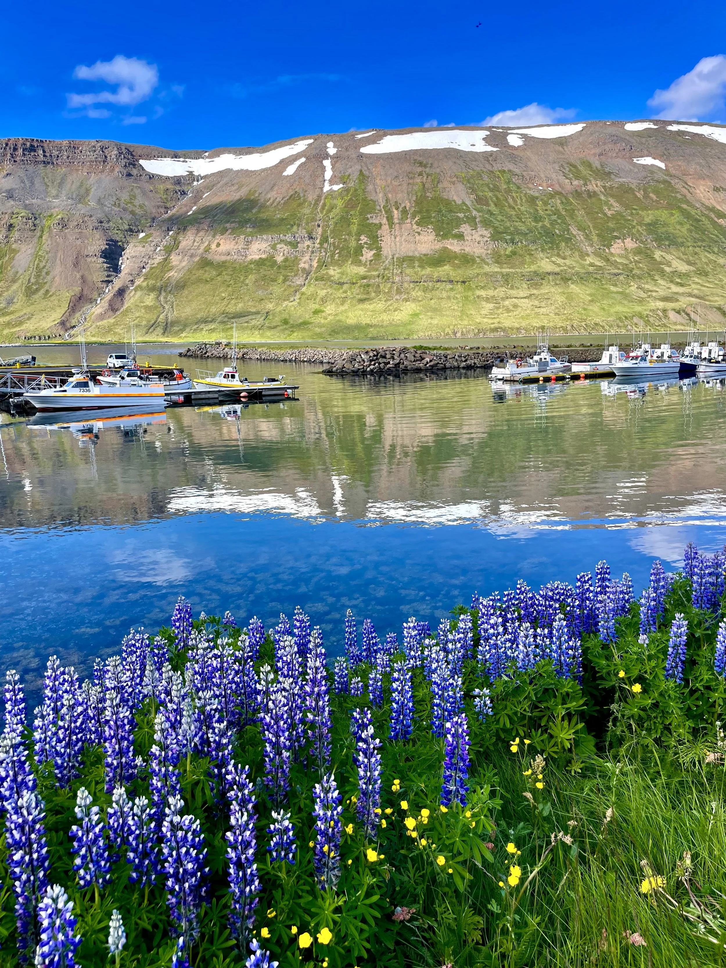 Iceland