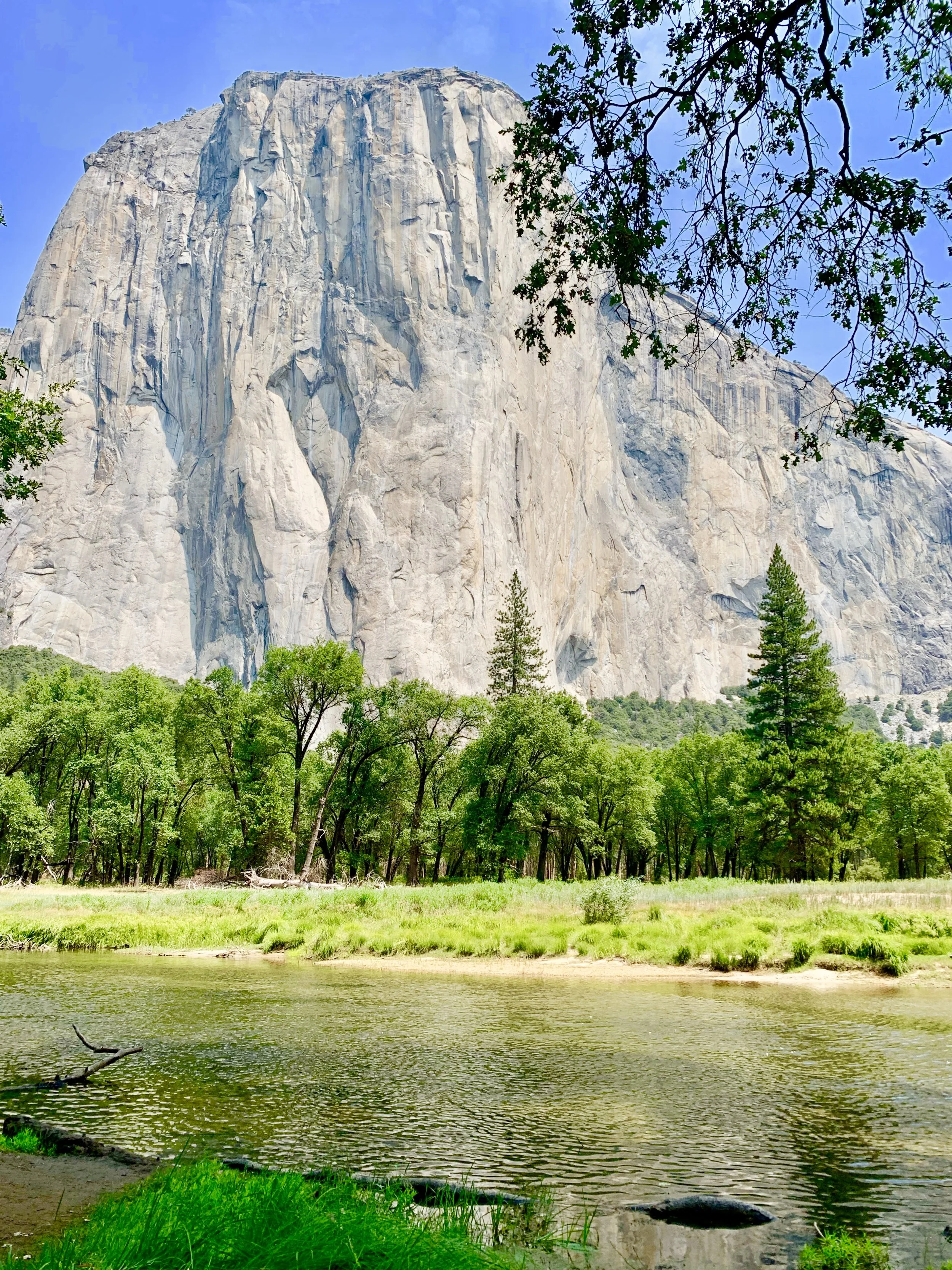 Yosemite, California