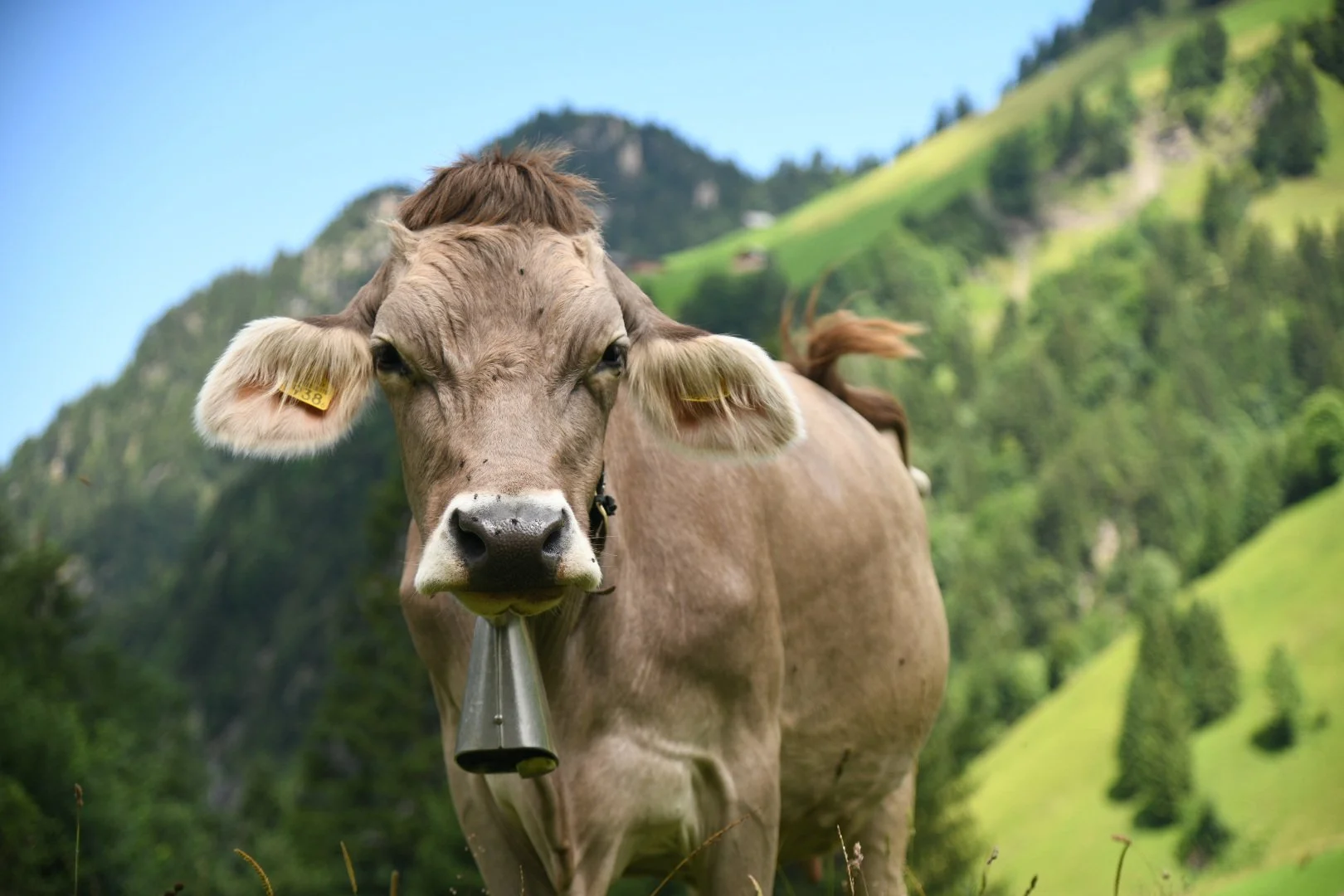 Switzerland
