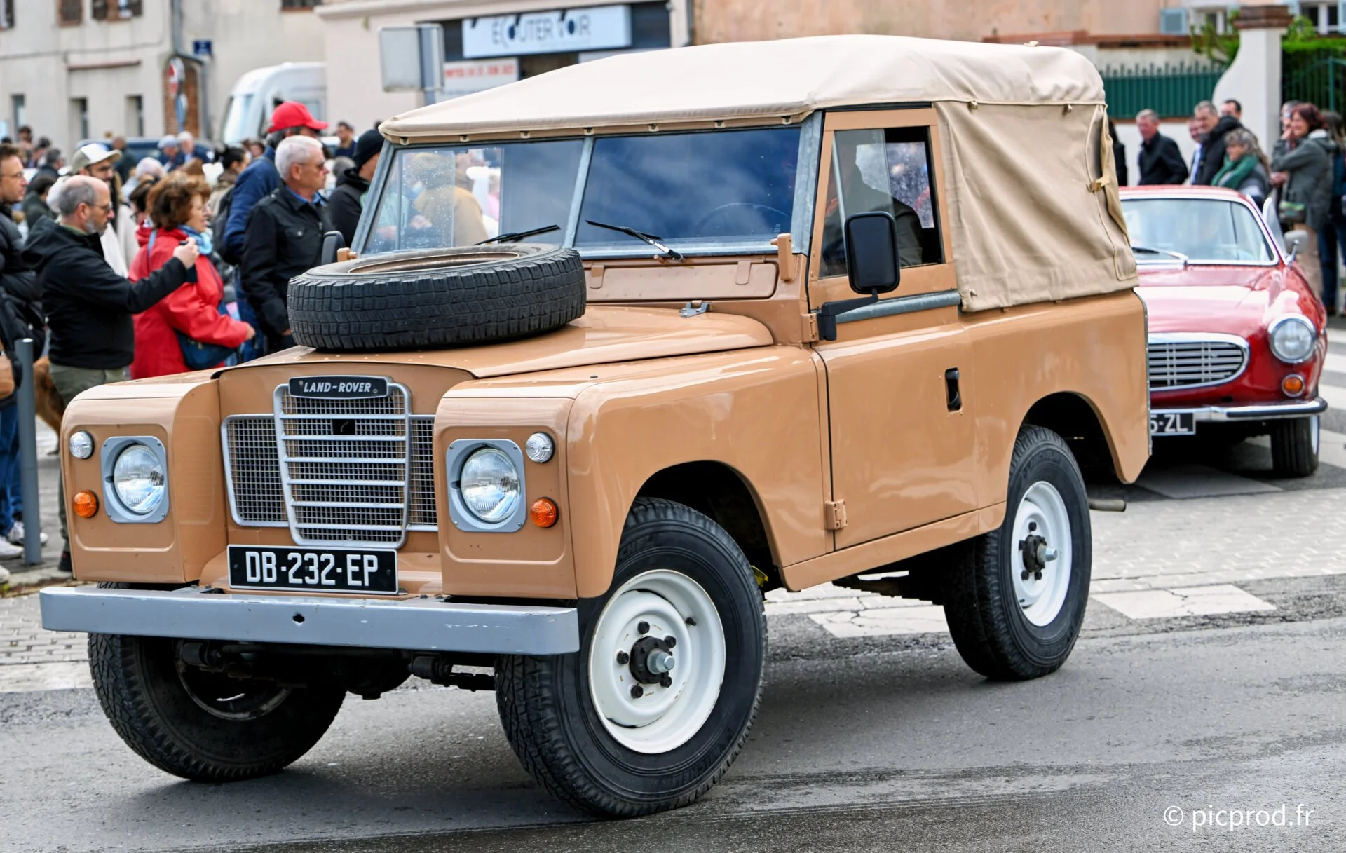 DSC_5242.jpg