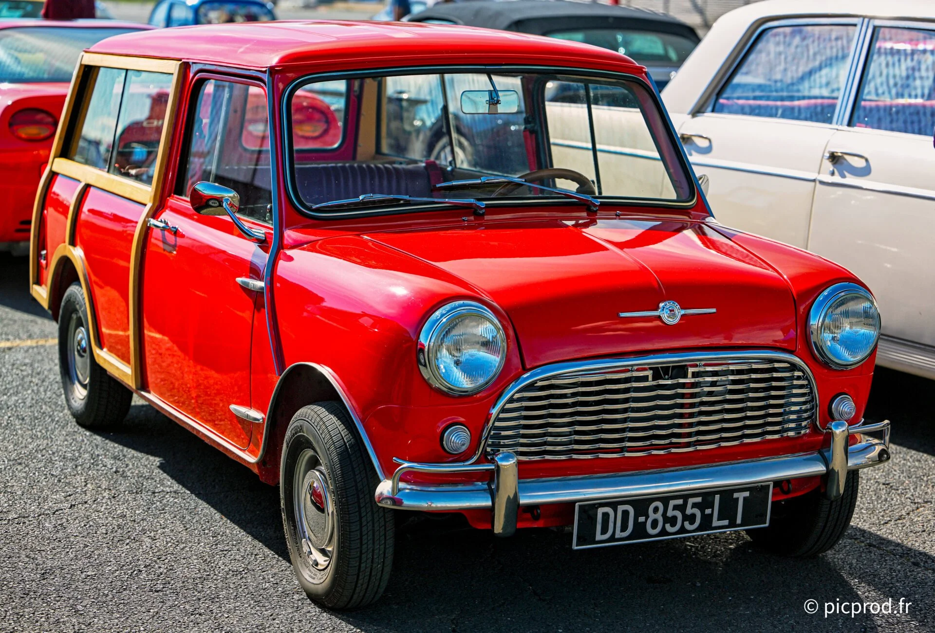 DSC_4930_DxO.jpg