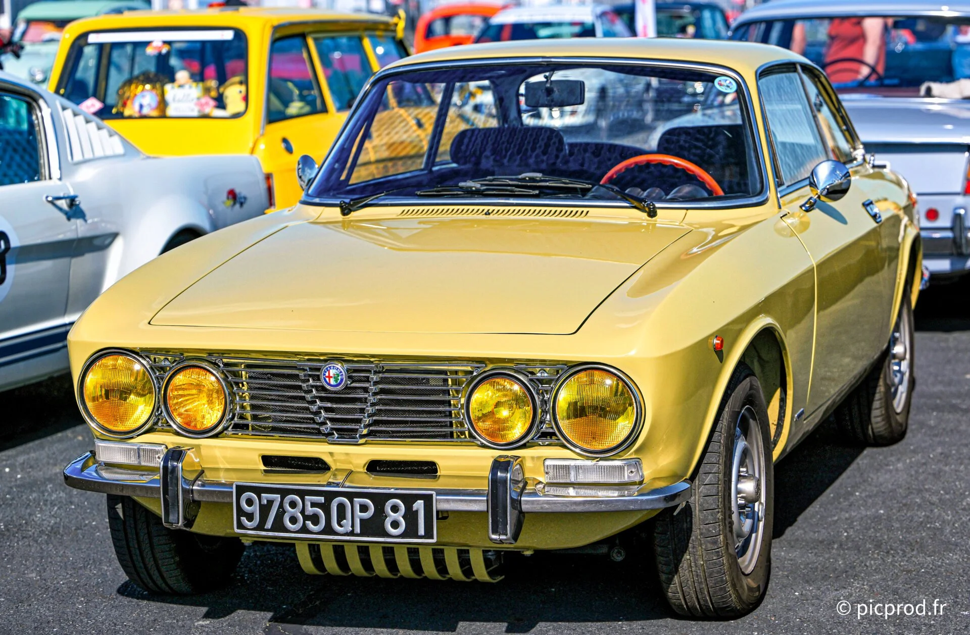 DSC_4972_DxO.jpg