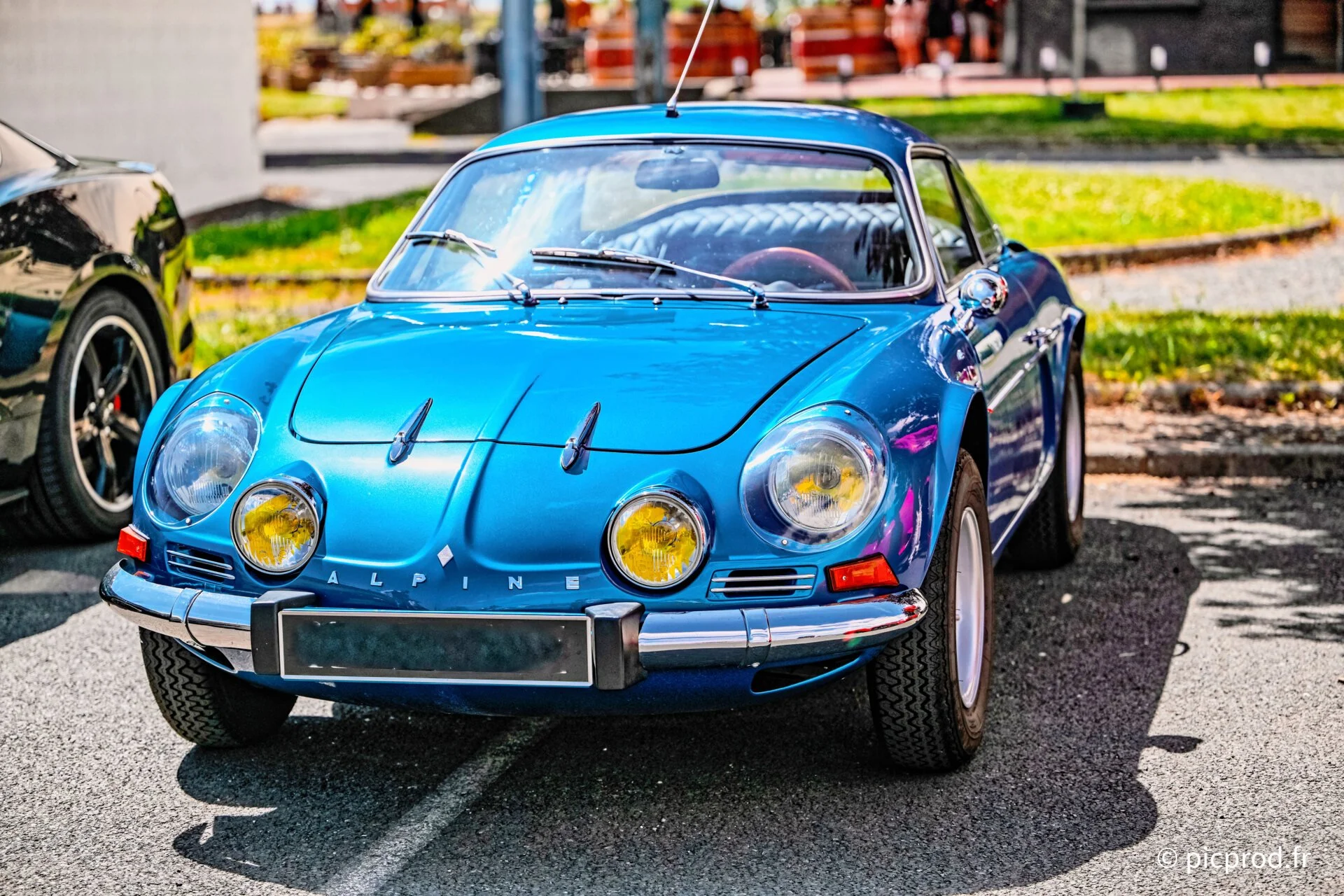 DSC_4502_DxO.jpg
