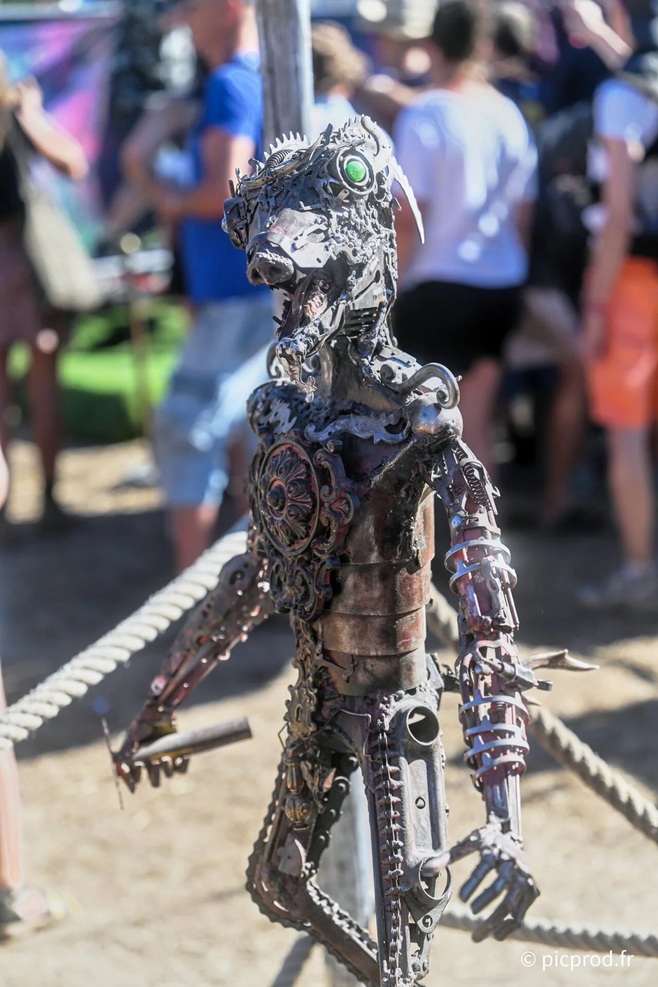 DSC_3438_DxO.jpg