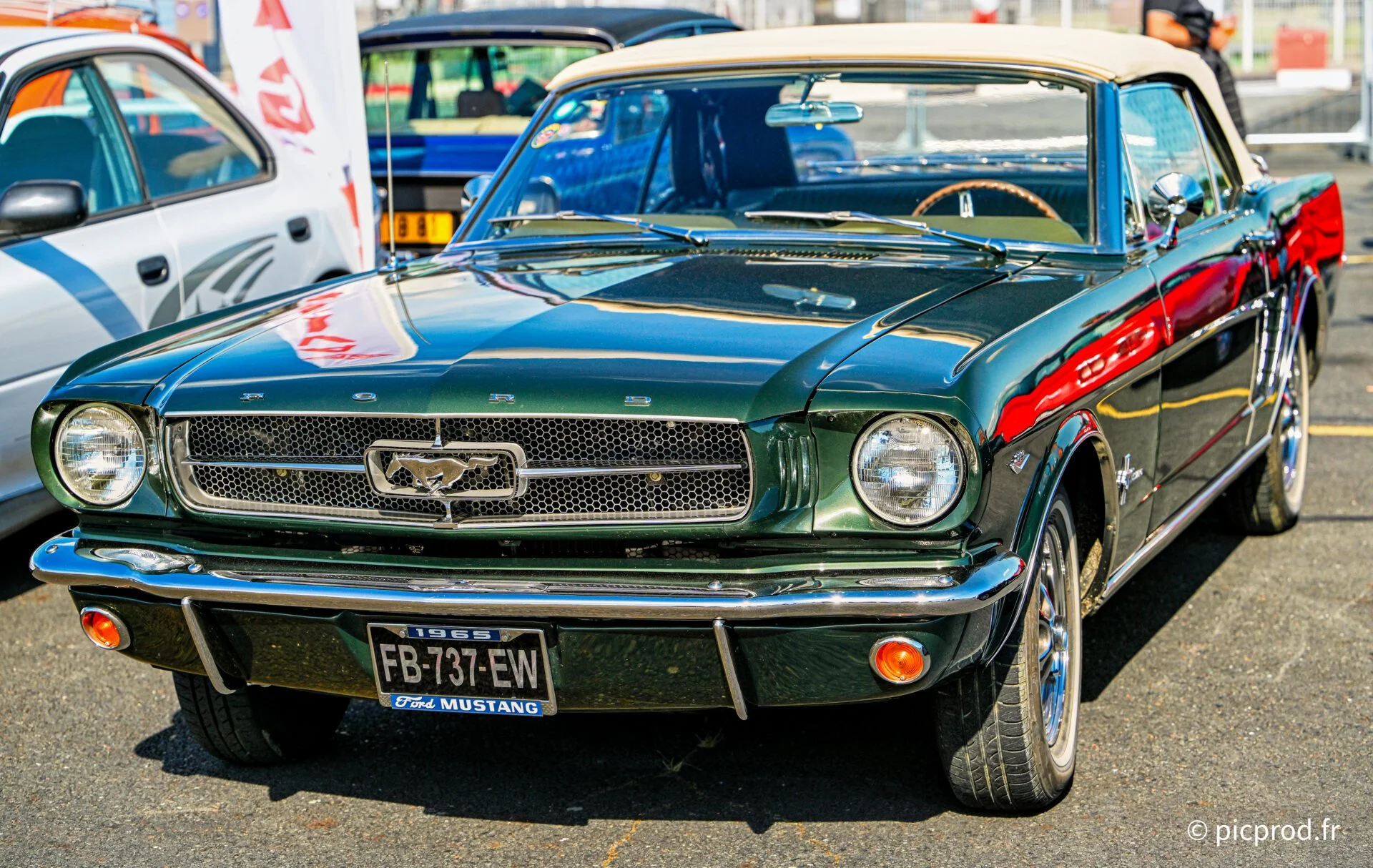 DSC_4942_DxO.jpg