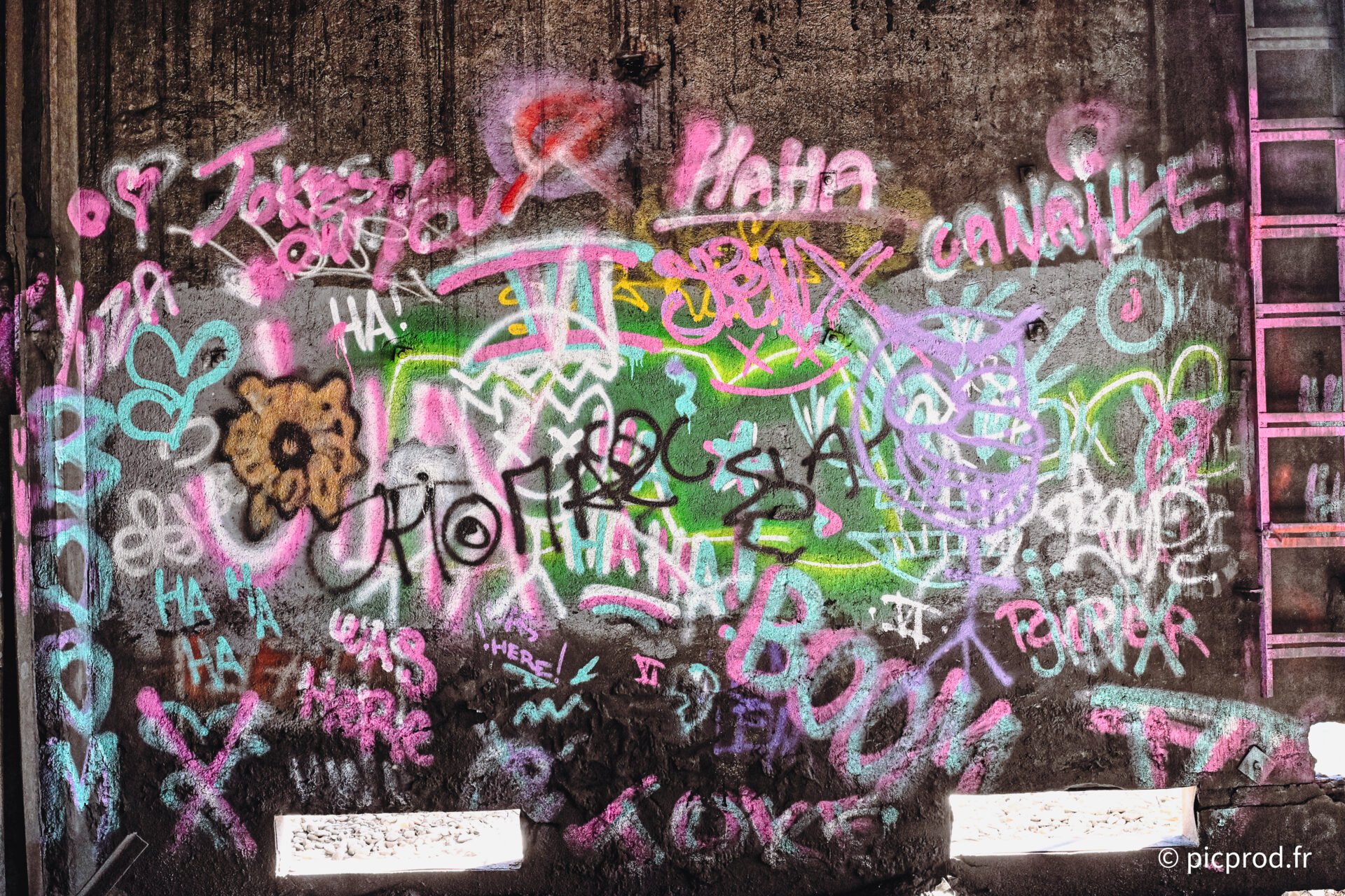 DSC_9725_DxO.jpg