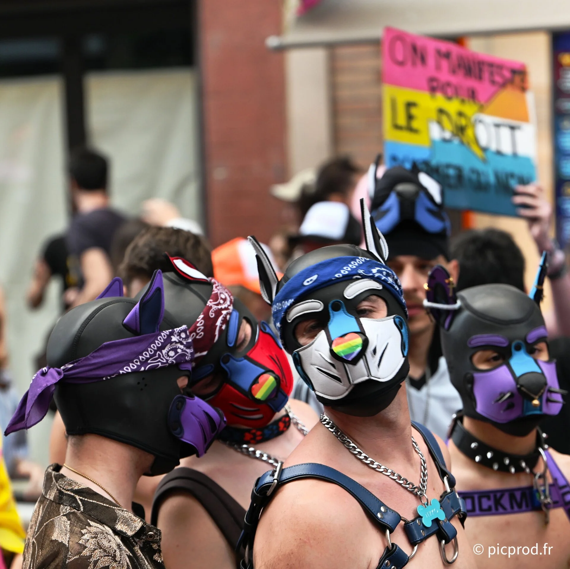 DSC_8071_DxO.jpg