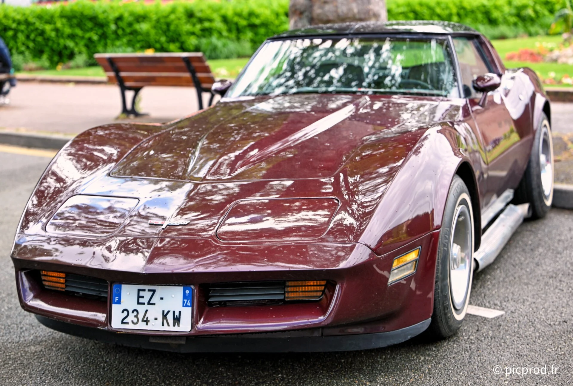 DSC_5321.jpg
