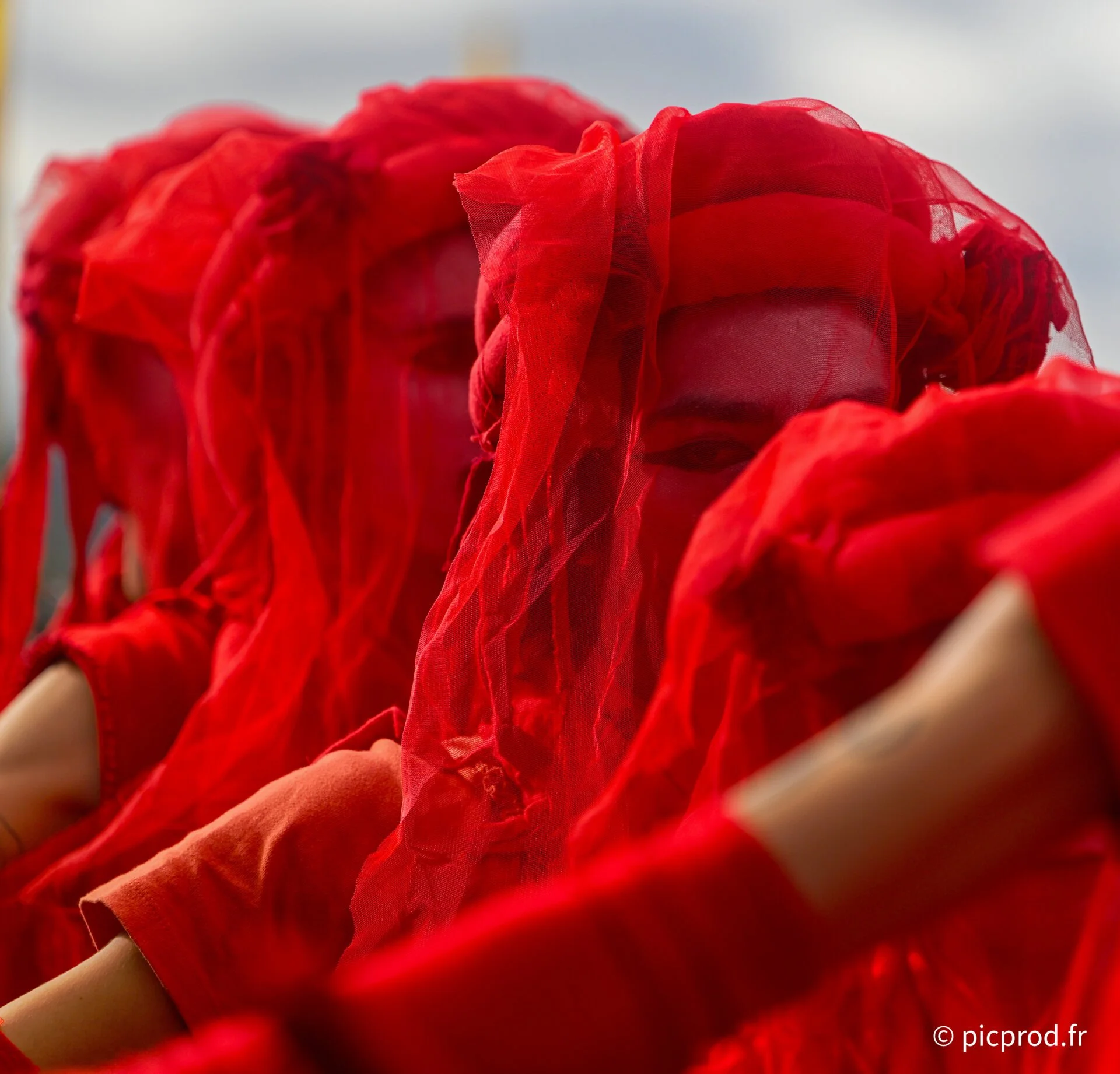 DSC_6237_DxO.jpg