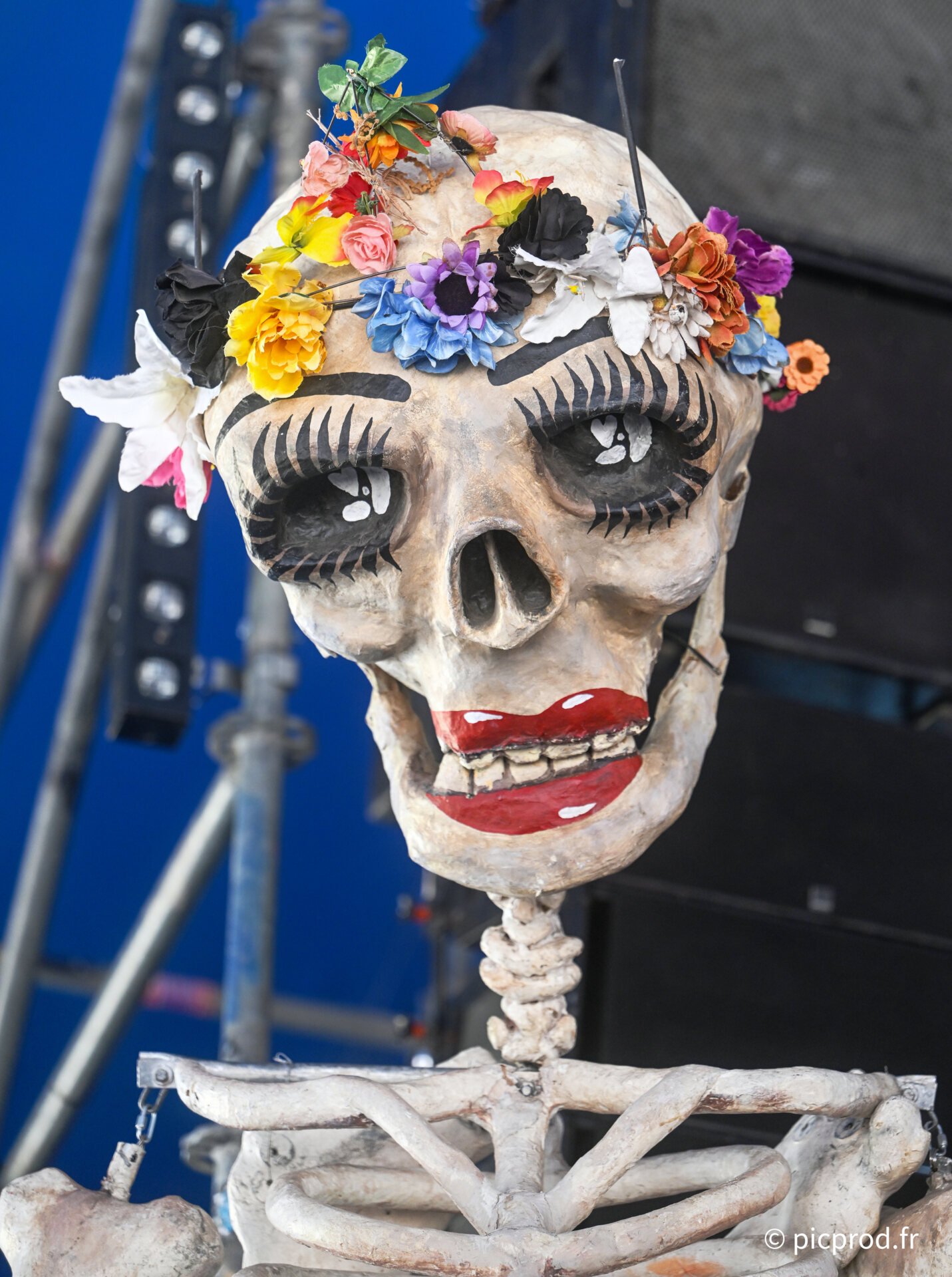 DSC_3486_DxO.jpg
