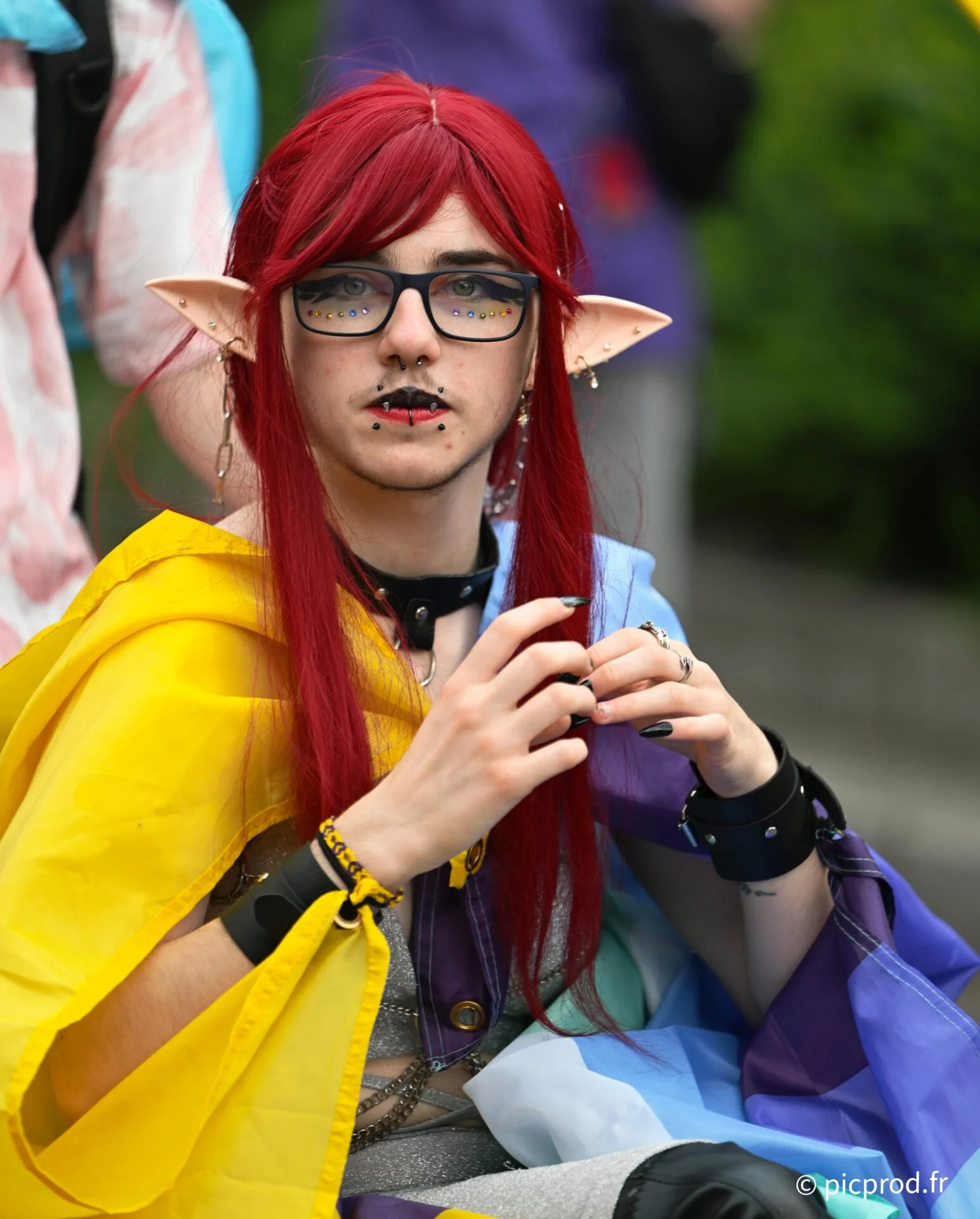 DSC_7831_DxO.jpg