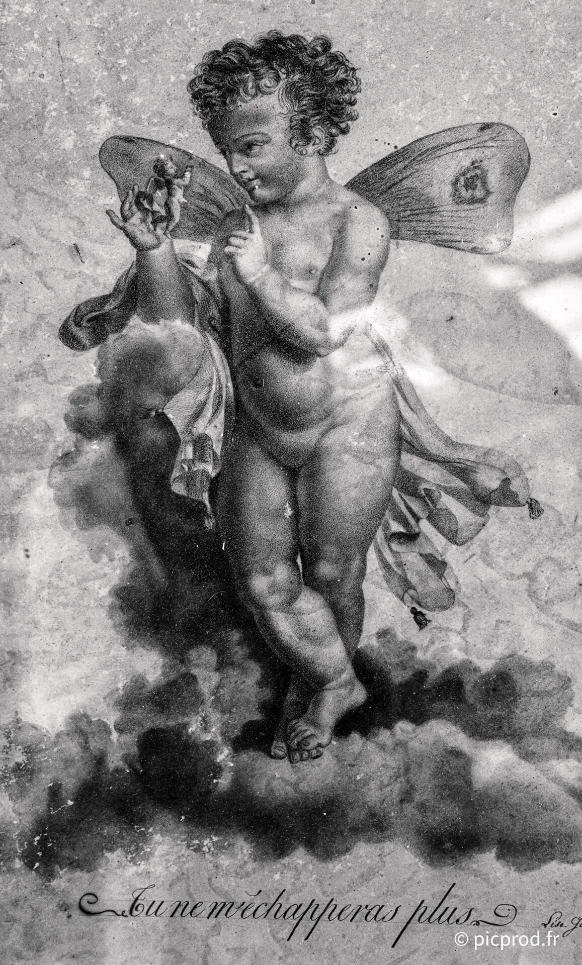 L1022944.jpg