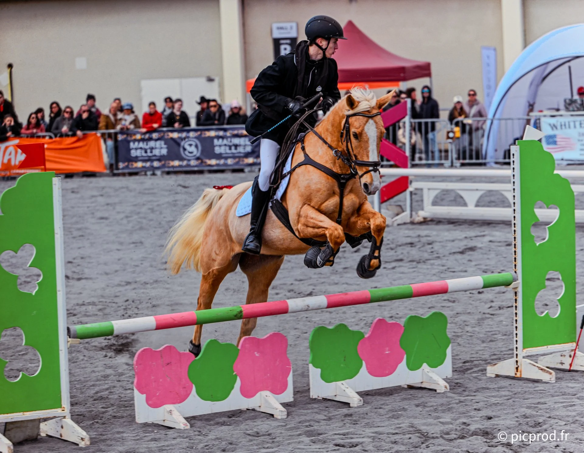 Concours de Saut d’Obstacles