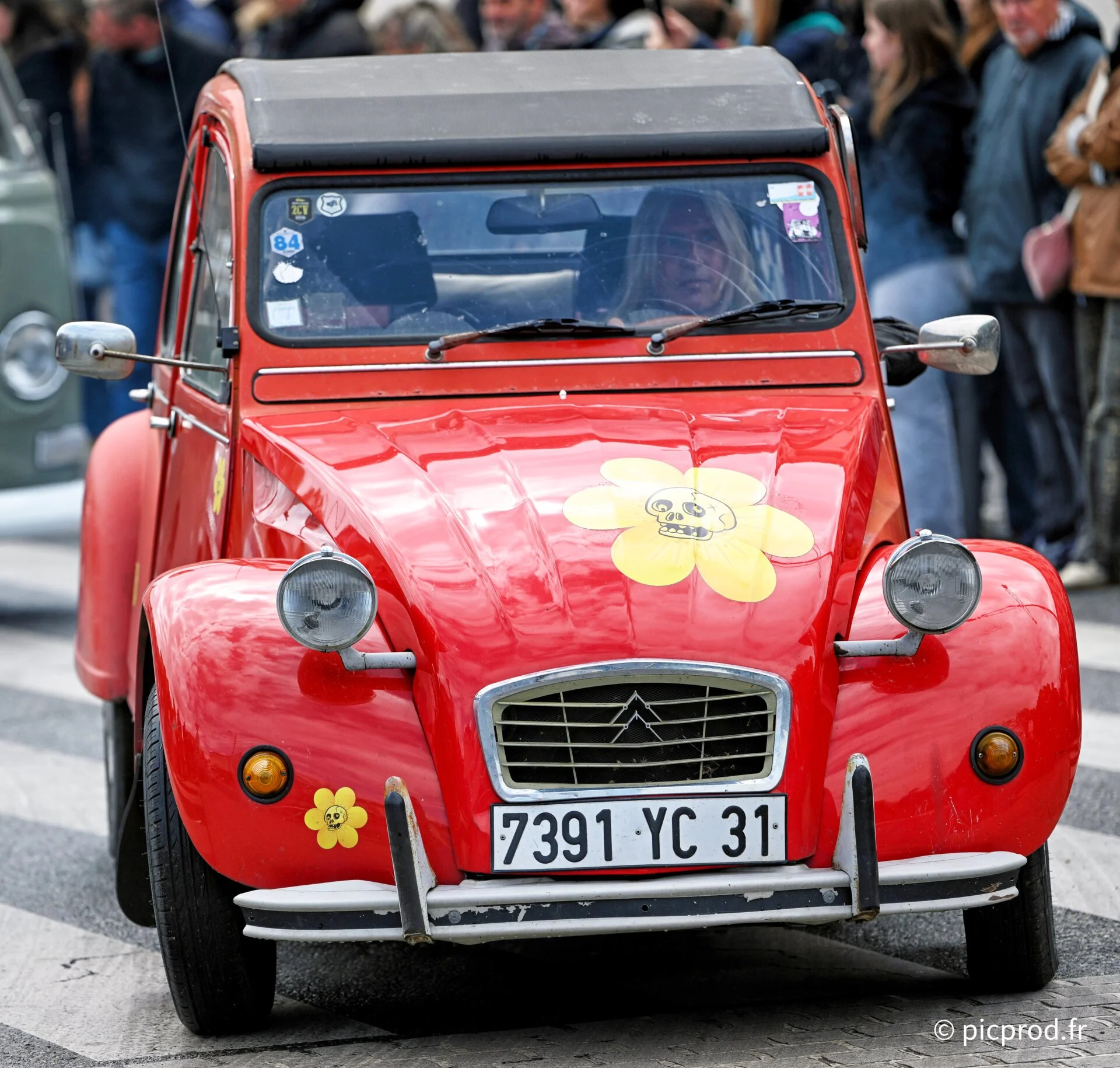 DSC_5164.jpg