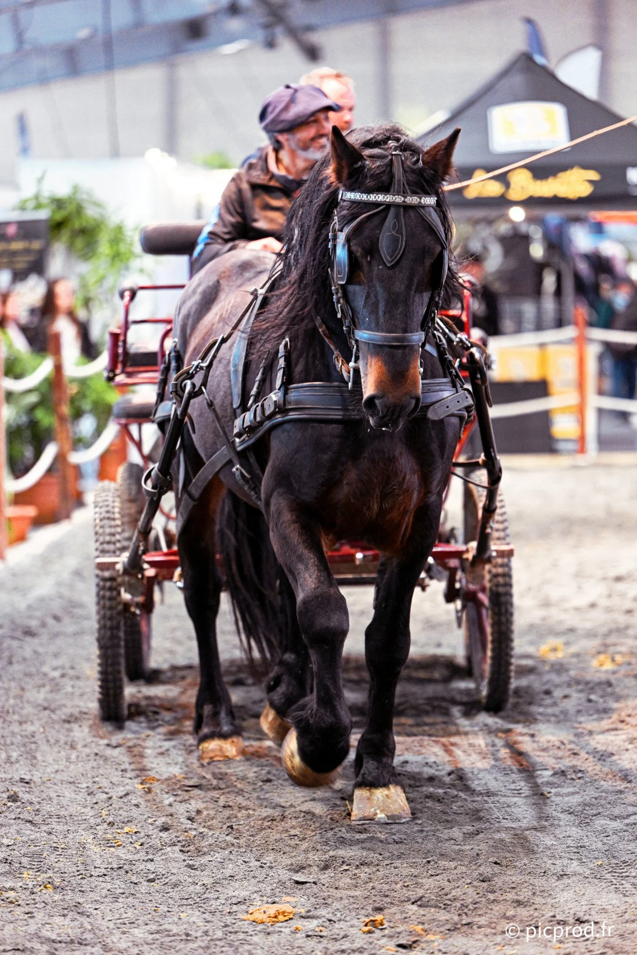 DSC_0229_DxO.jpg