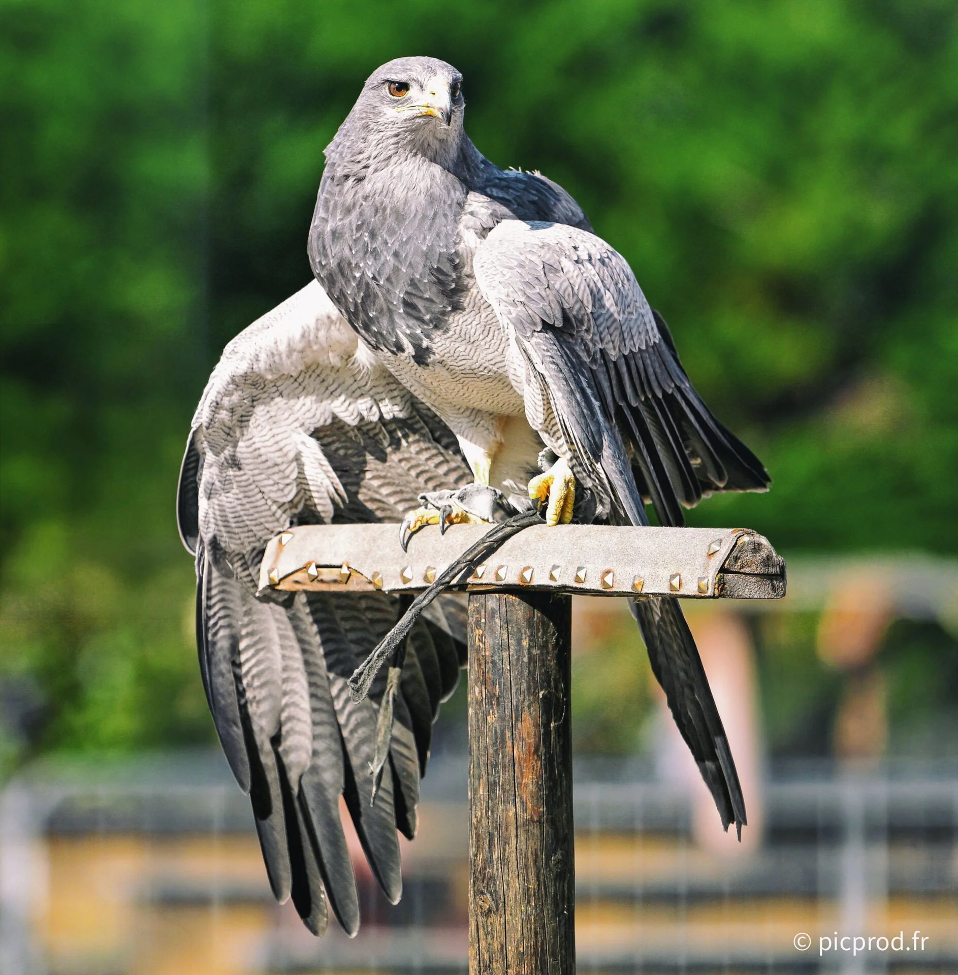 DSC_6338b.jpg