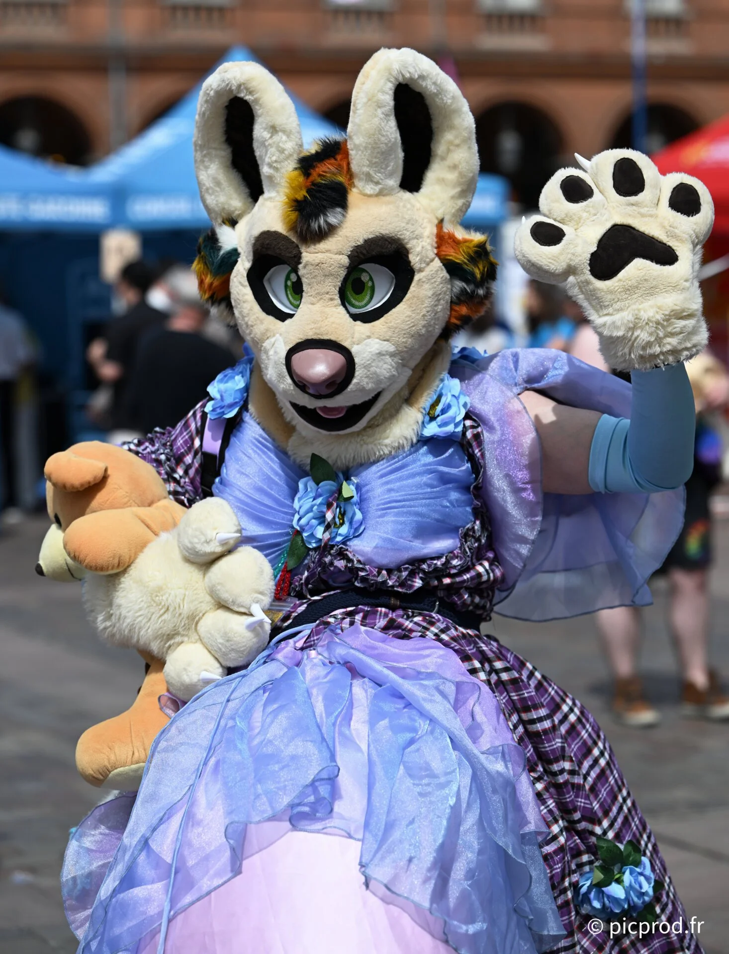 DSC_7336_DxO.jpg