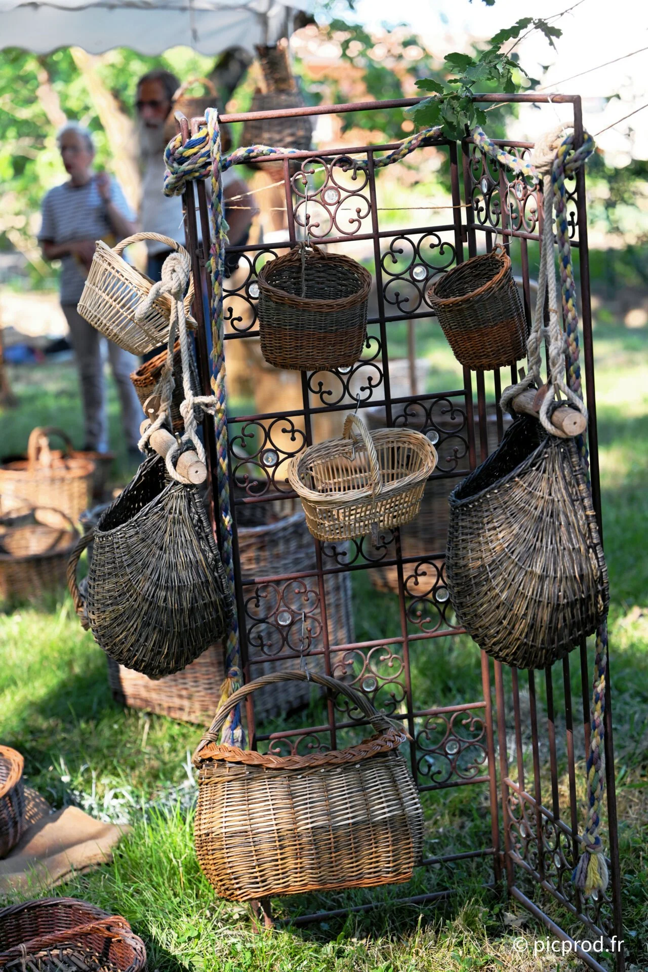 DSC_6718_DxO.jpg