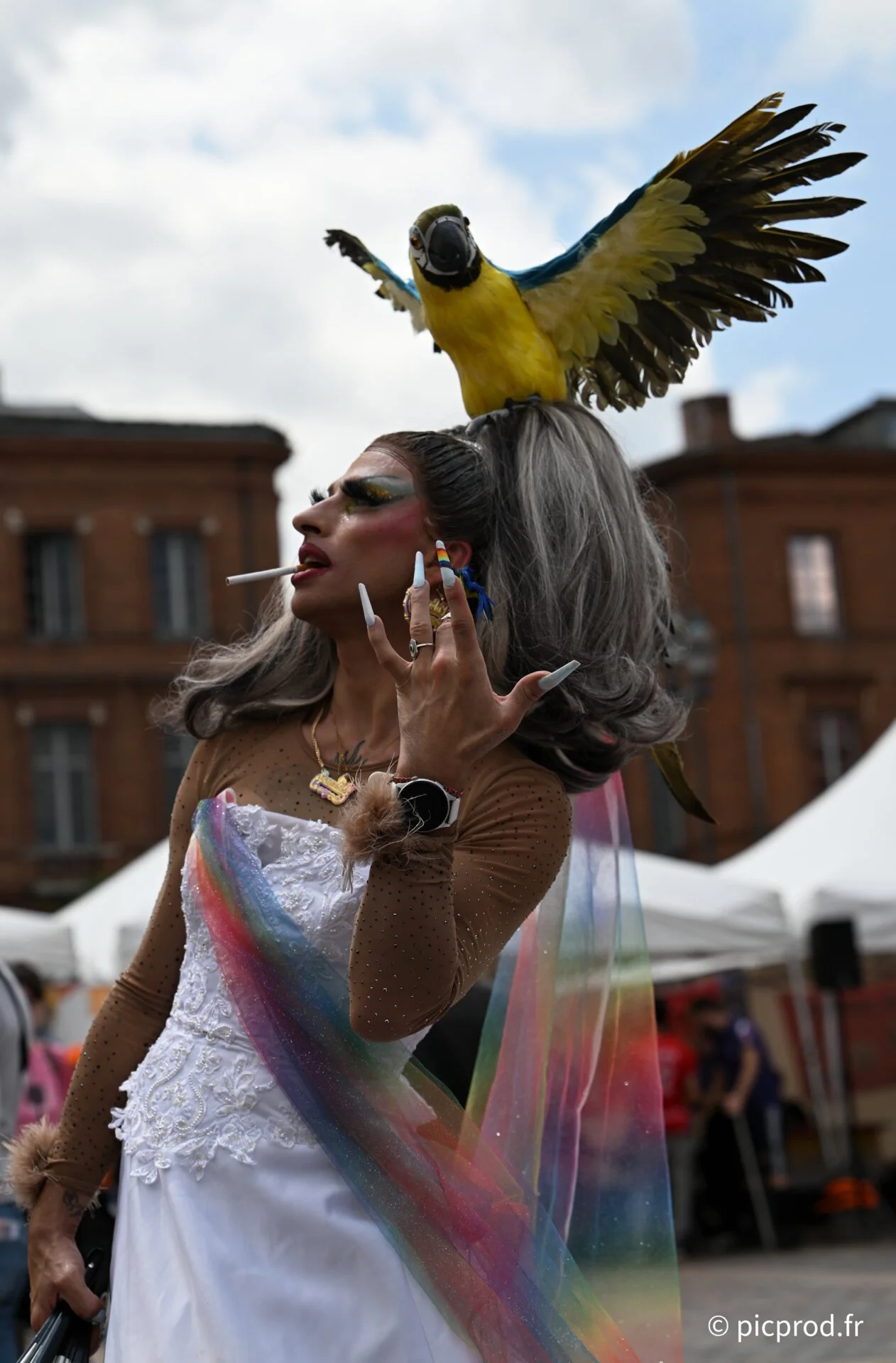 DSC_7460_DxO.jpg