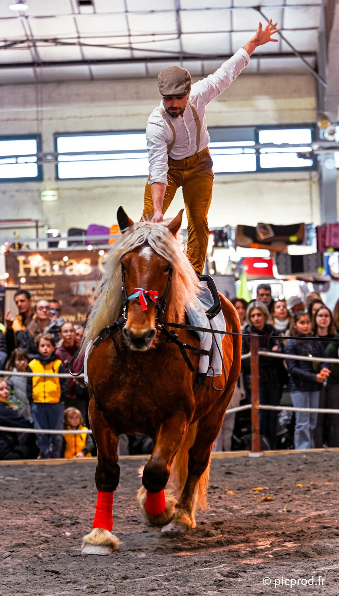 DSC_1390_DxO.jpg