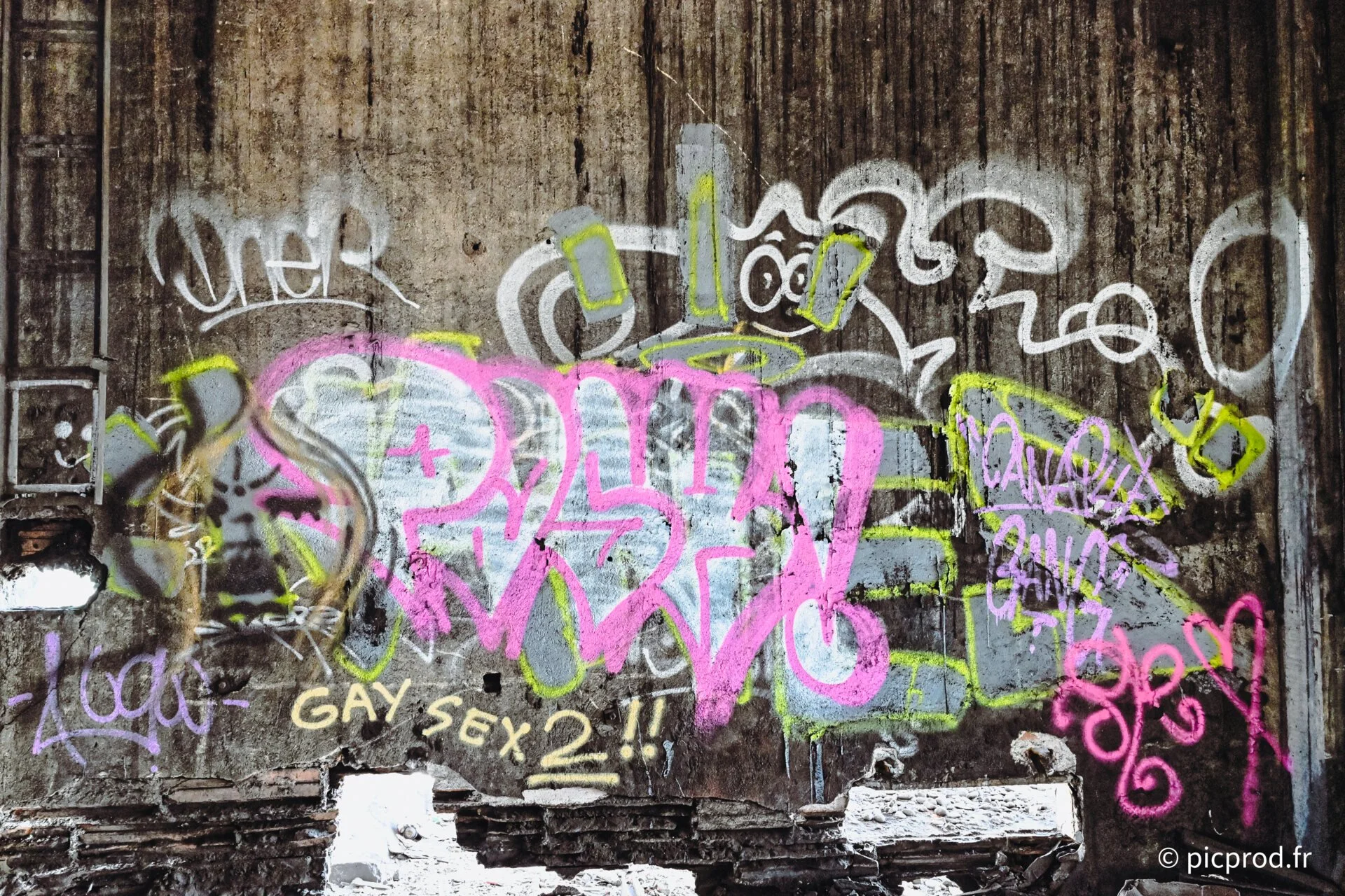 DSC_9726_DxO.jpg