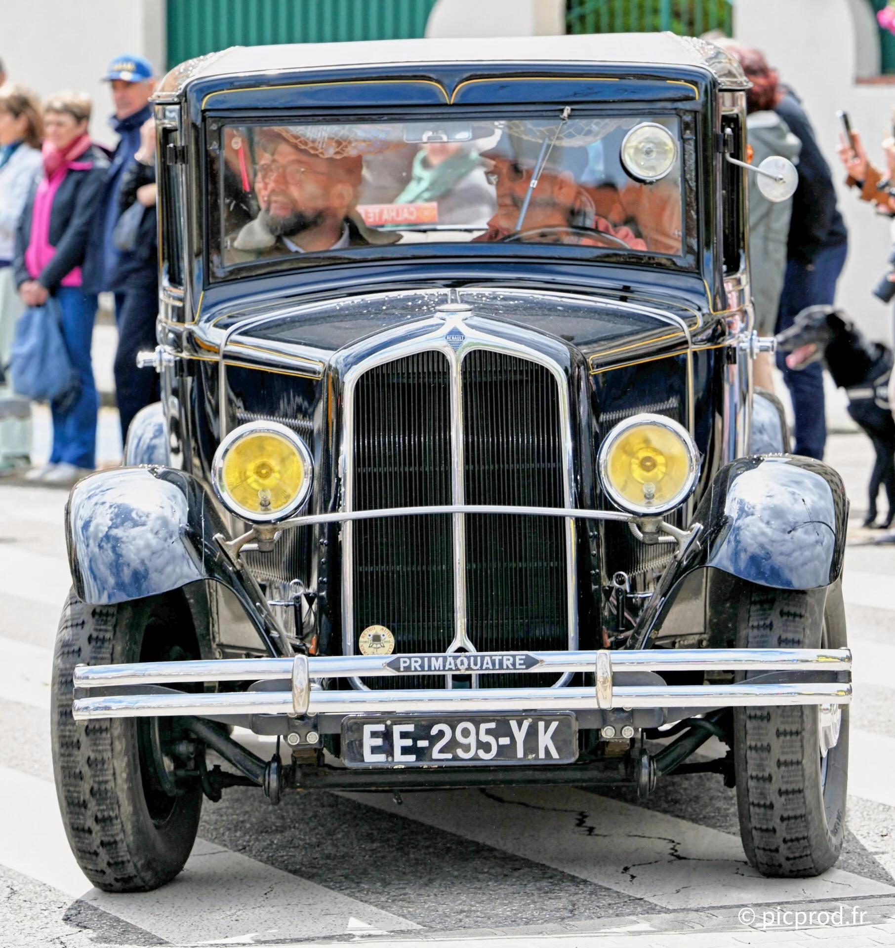 DSC_5296.jpg