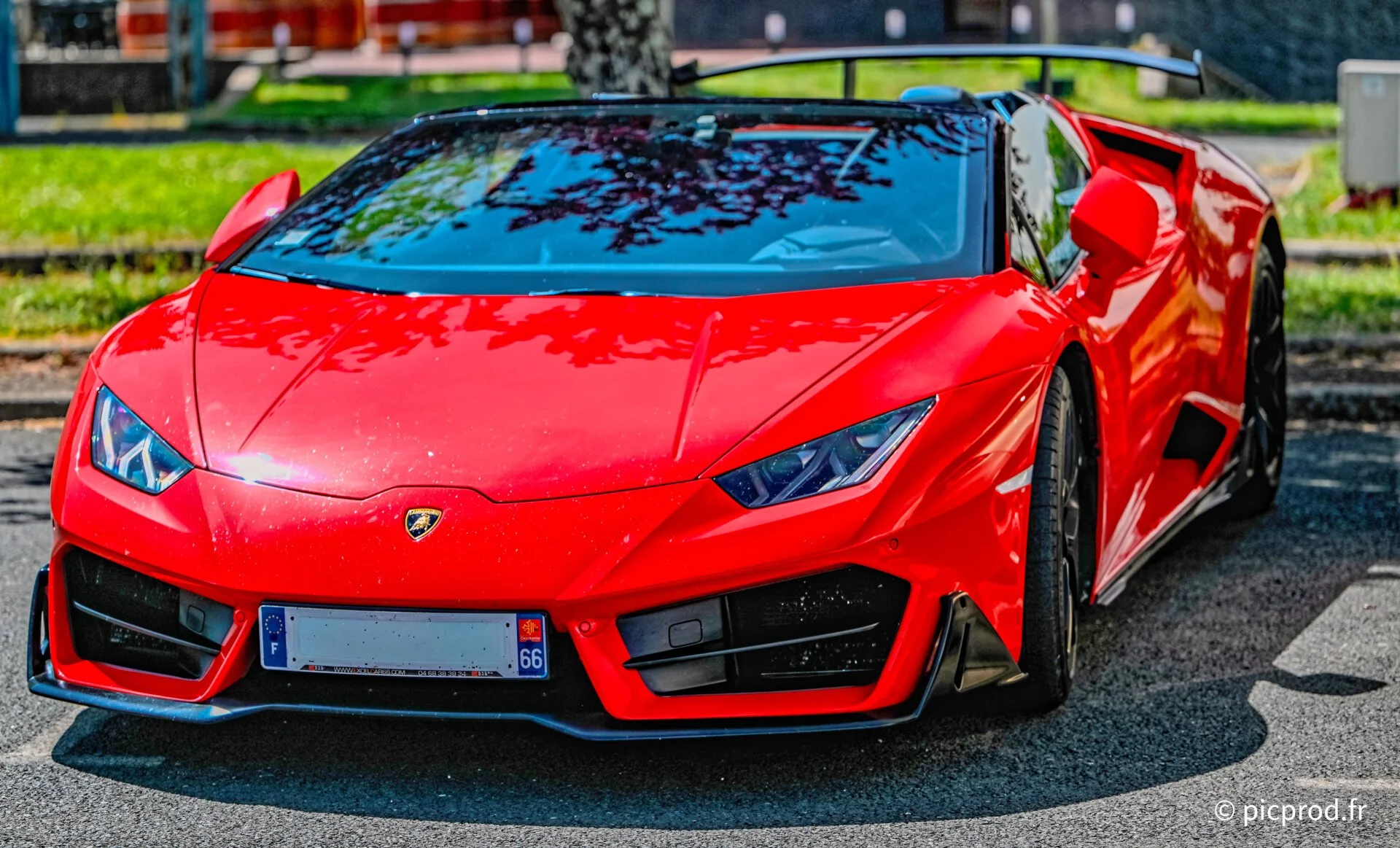 DSC_4487_DxO.jpg