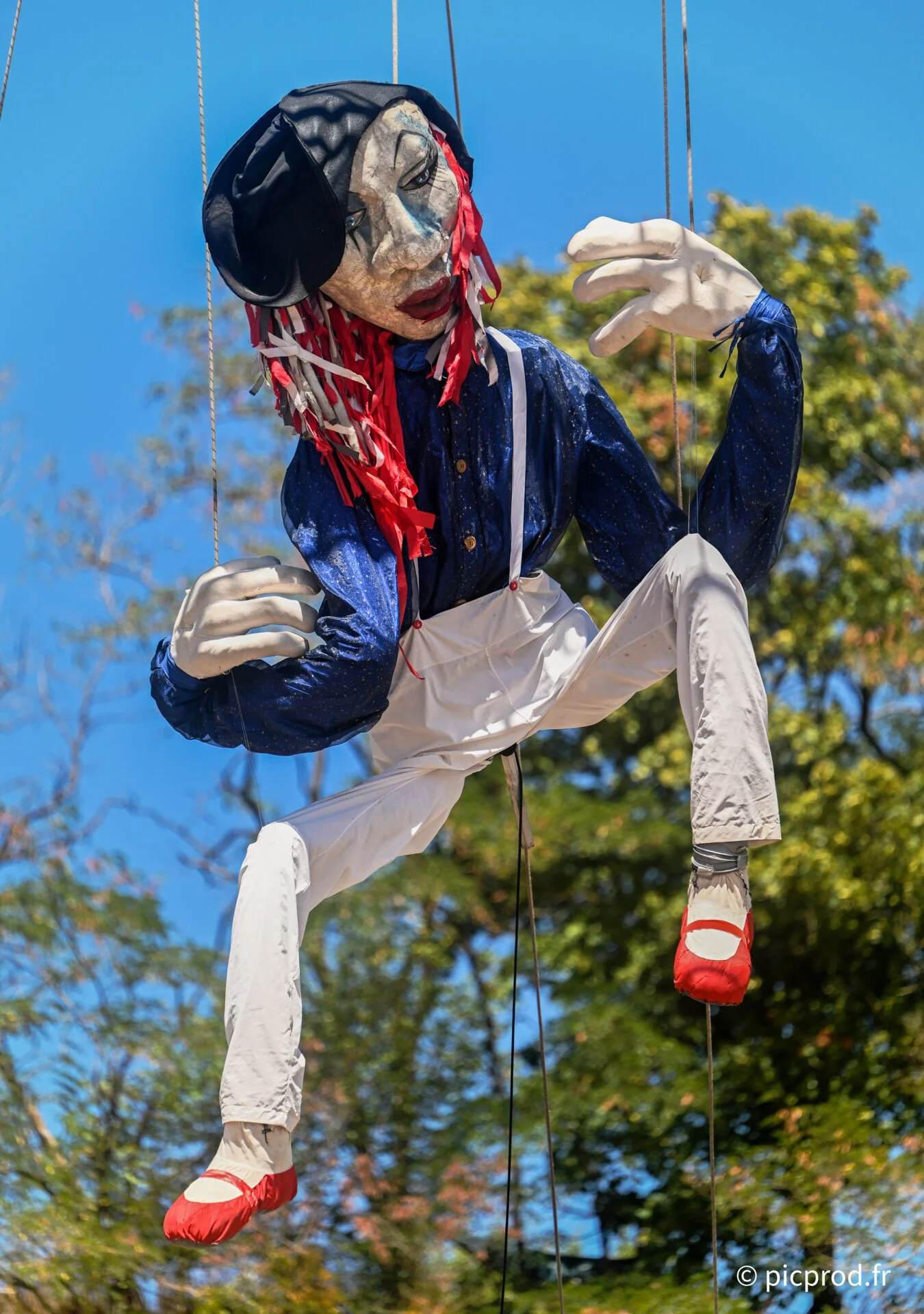 DSC_3193_DxO.jpg