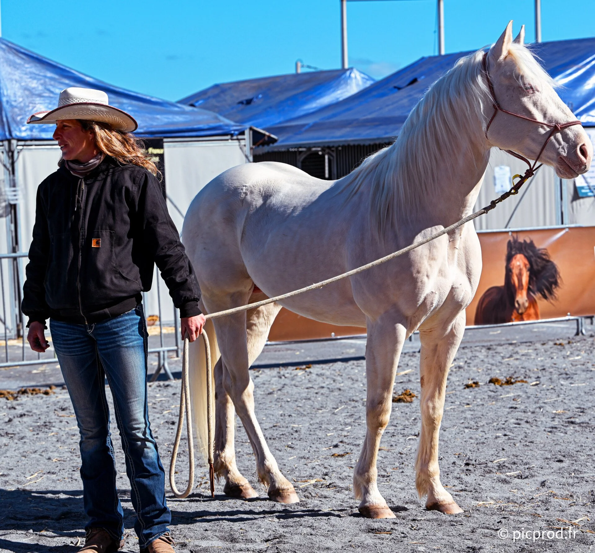 DSC_0139_DxO.jpg